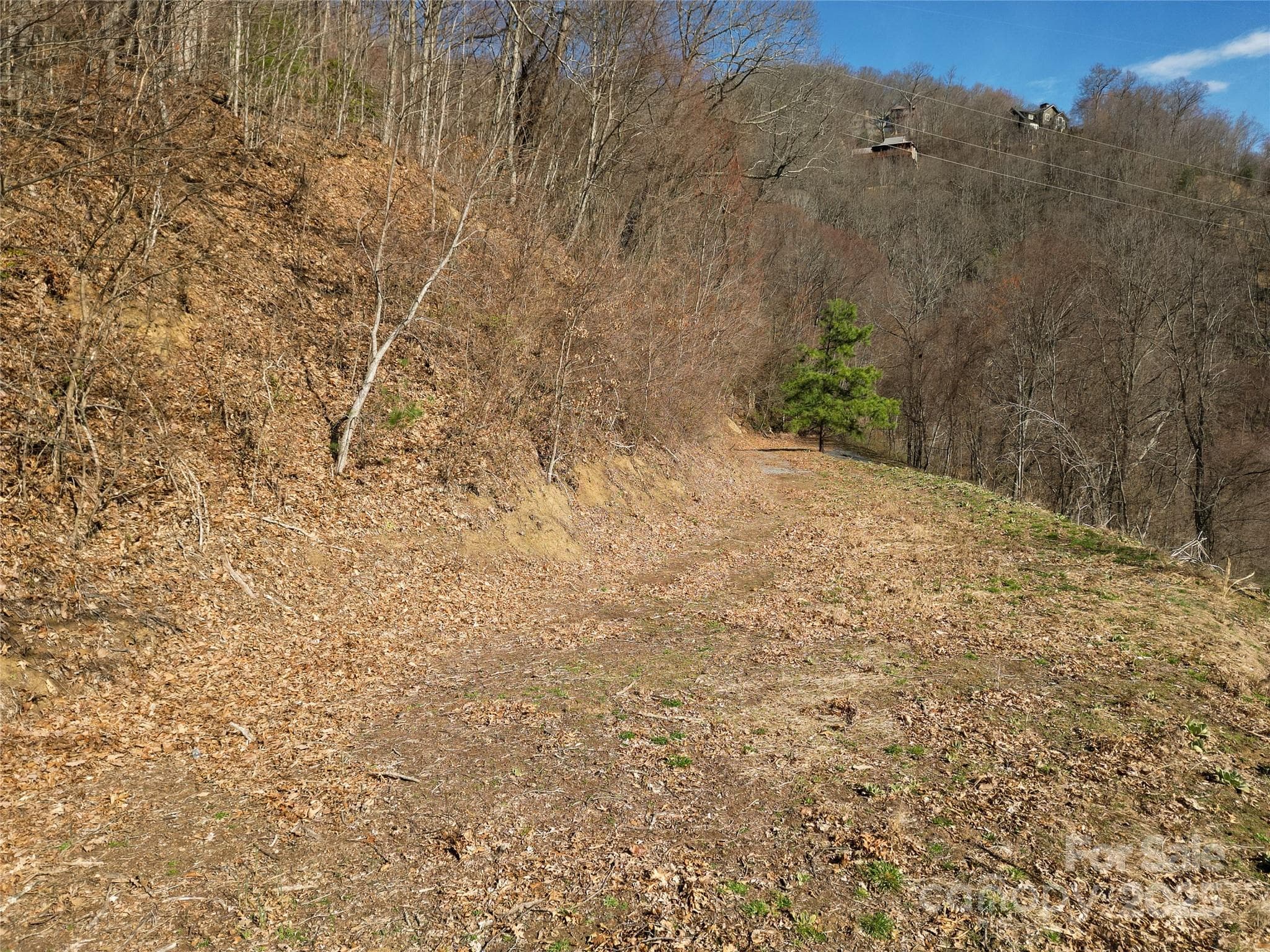 Proposed build site view looking back at driveway entry - Waynesville