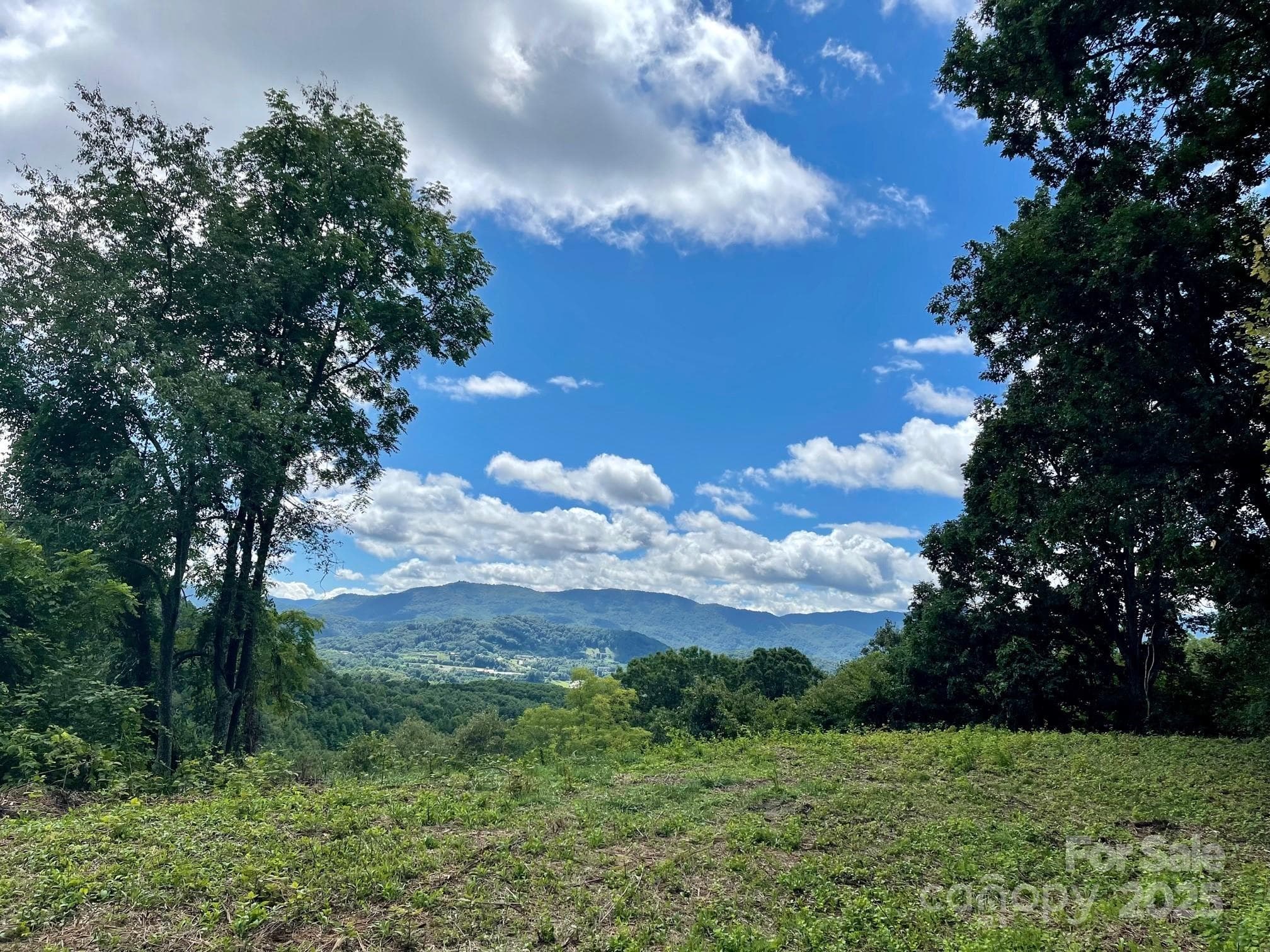 Summer view from proposed build site. - Waynesville