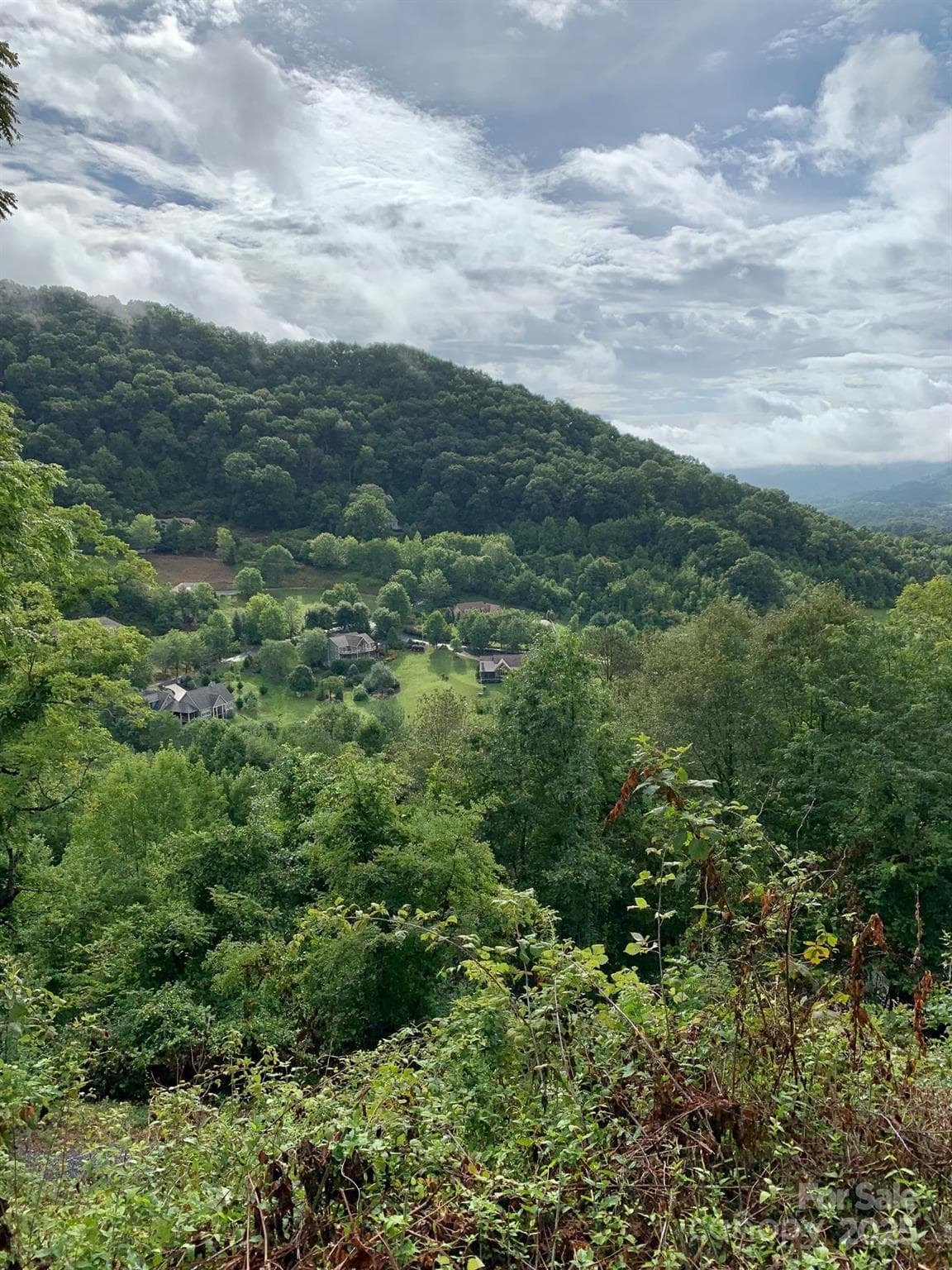 Lot at Waynesville, photo 9 of 22