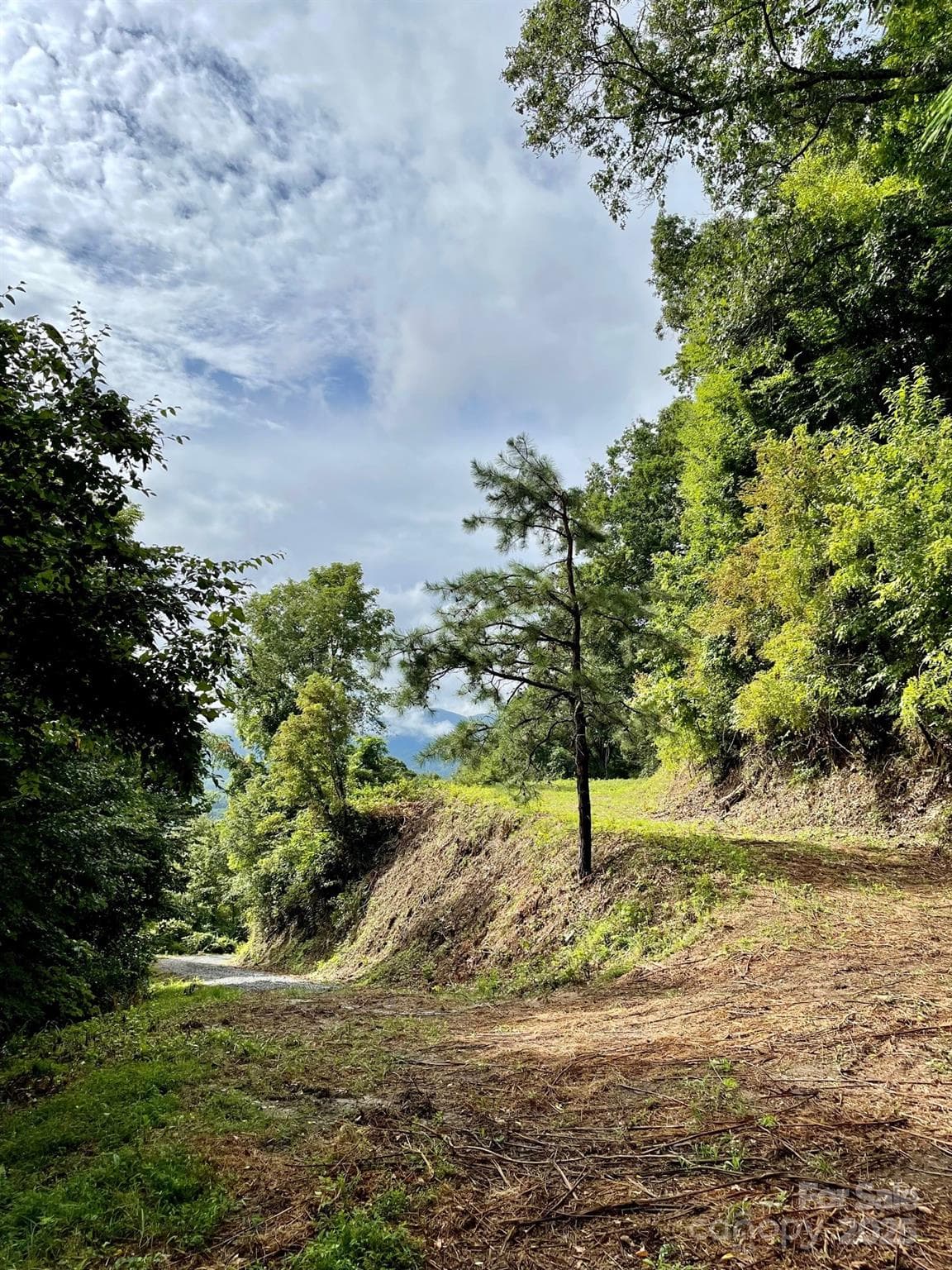 Lot at Waynesville, photo 10 of 22