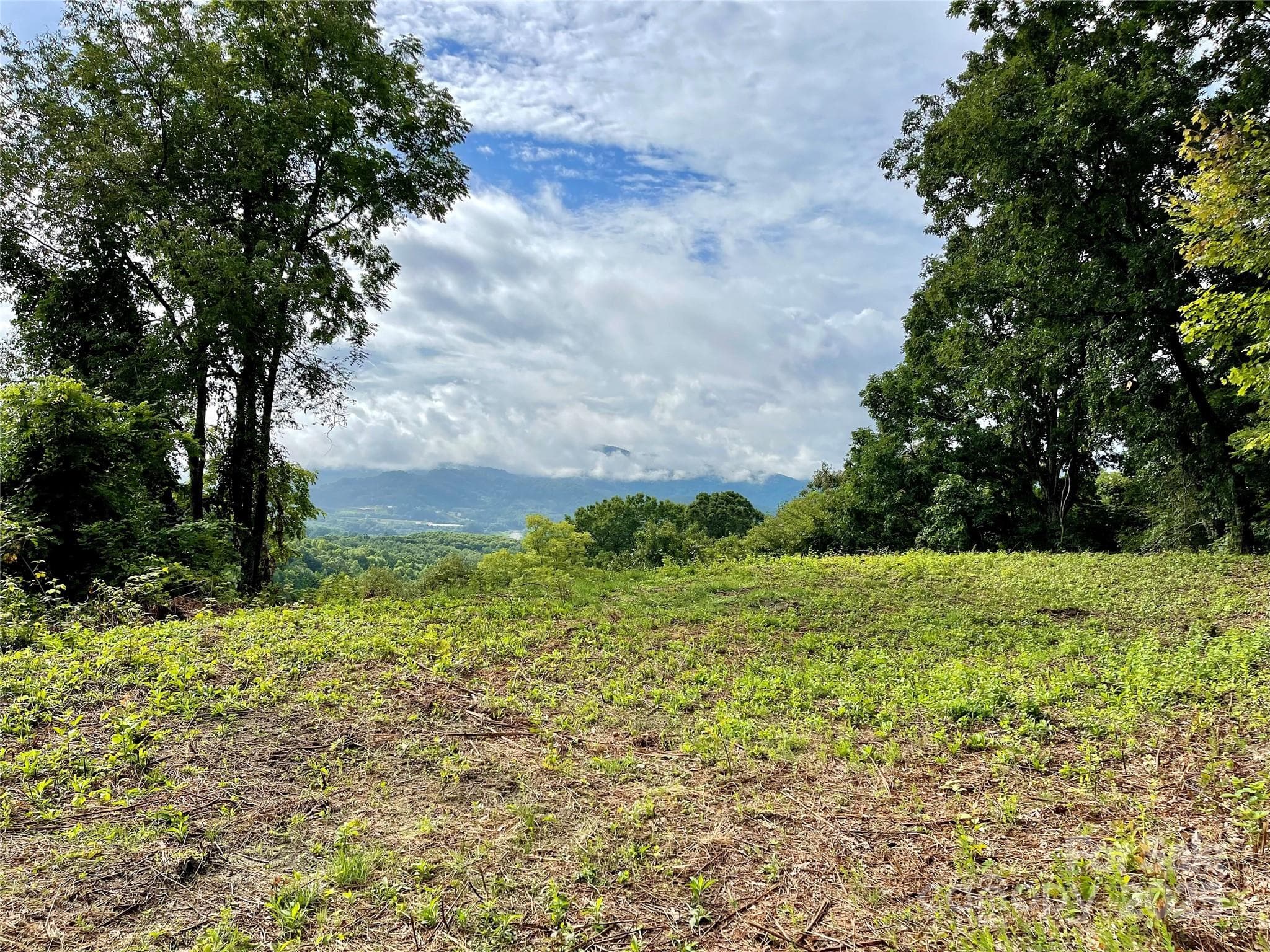 Lot at Waynesville, photo 11 of 22