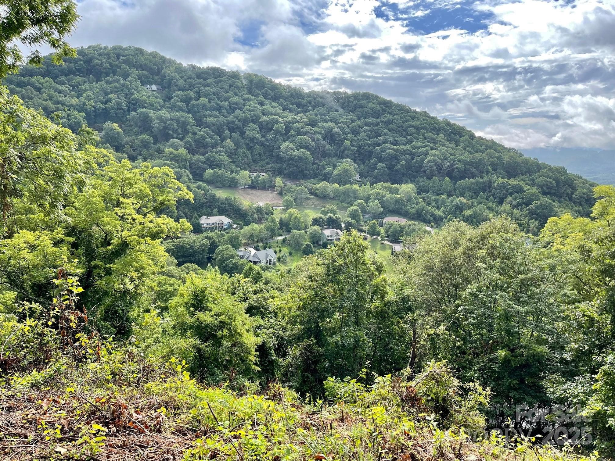 Lot at Waynesville, photo 12 of 22