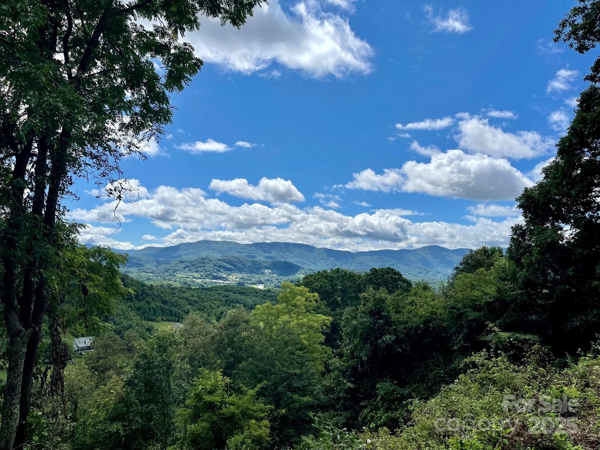 Lot at Waynesville, photo 14 of 22