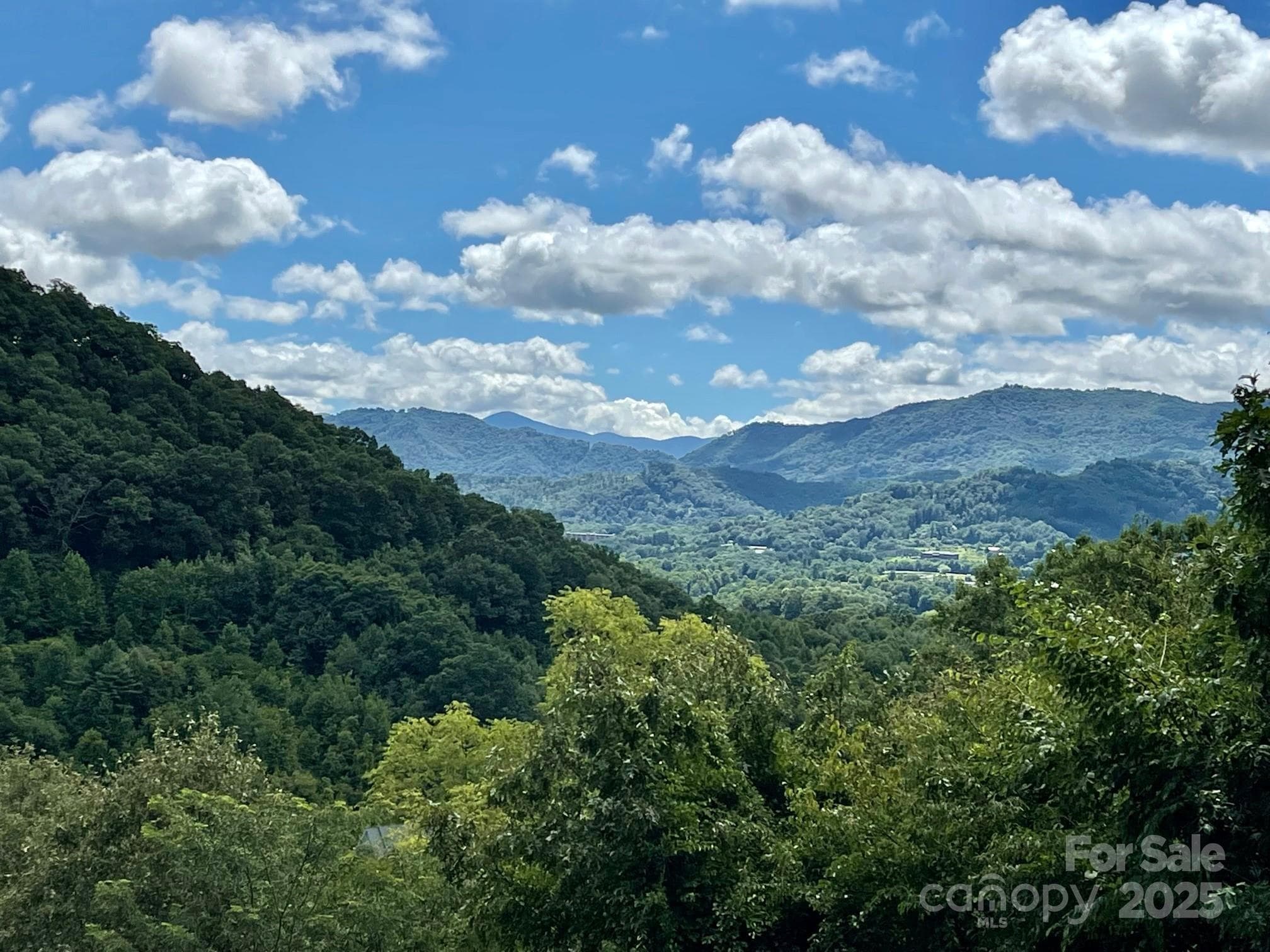 Lot at Waynesville, photo 16 of 22