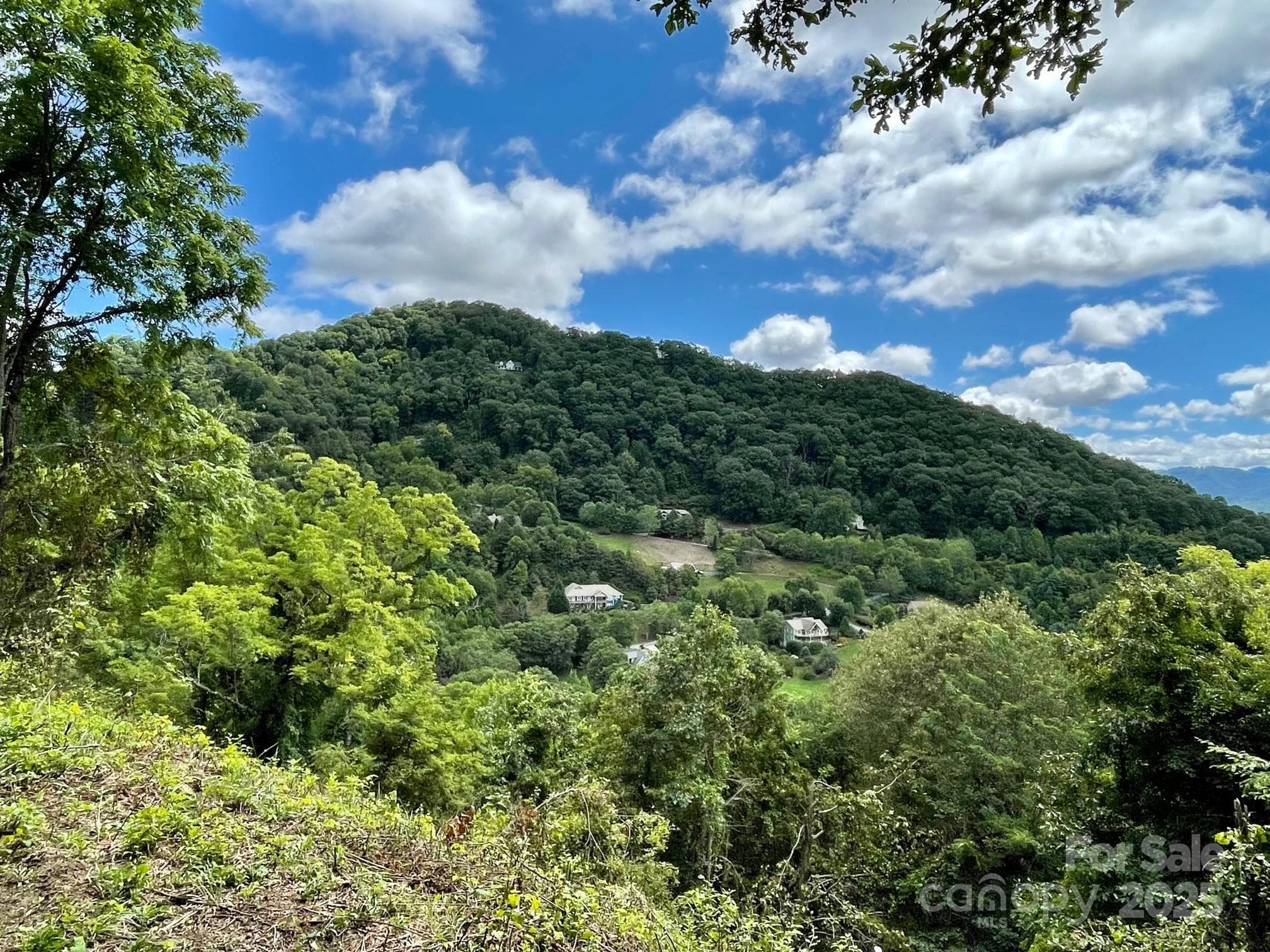 Lot at Waynesville, photo 17 of 22