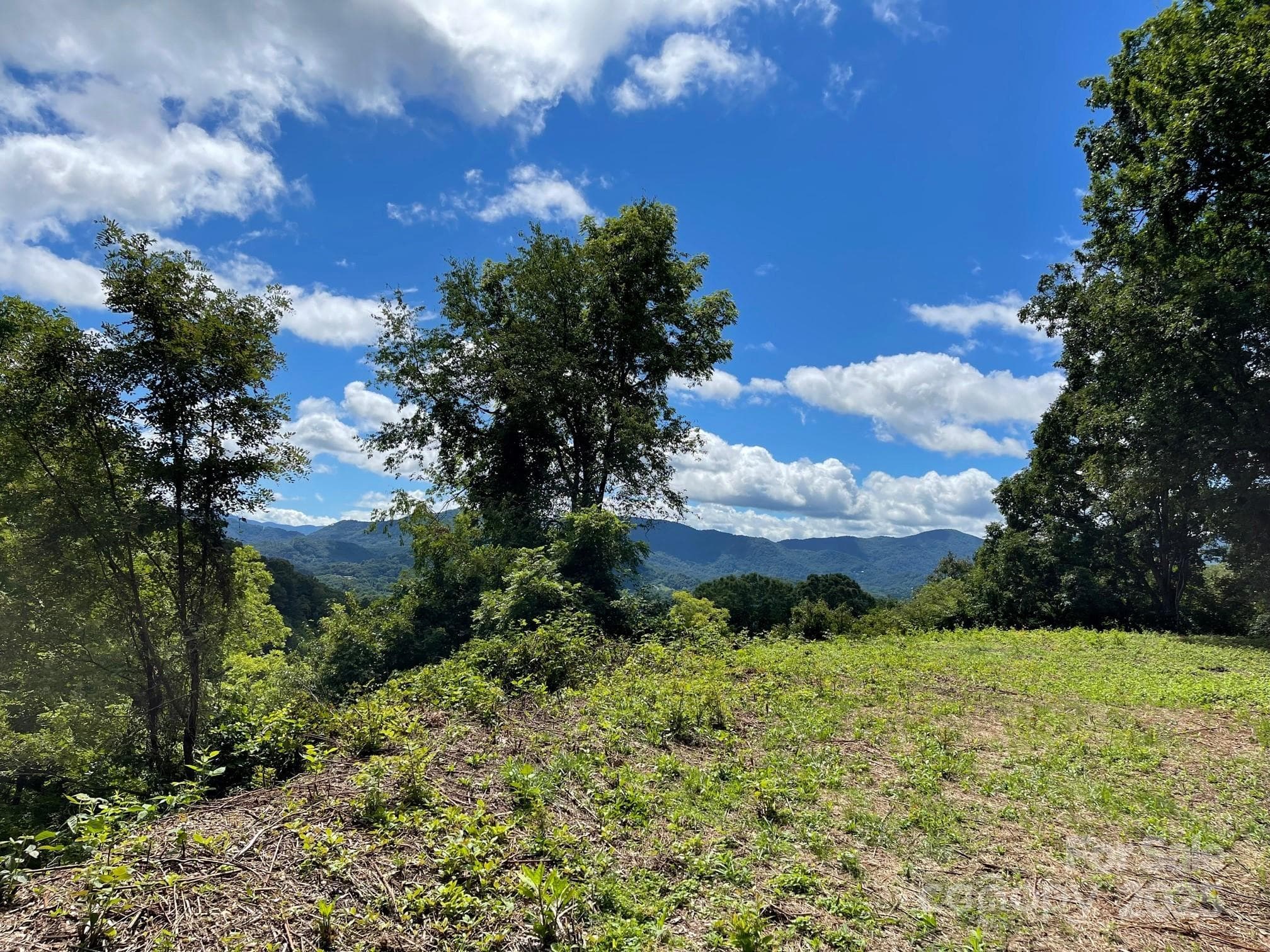 Lot at Waynesville, photo 18 of 22