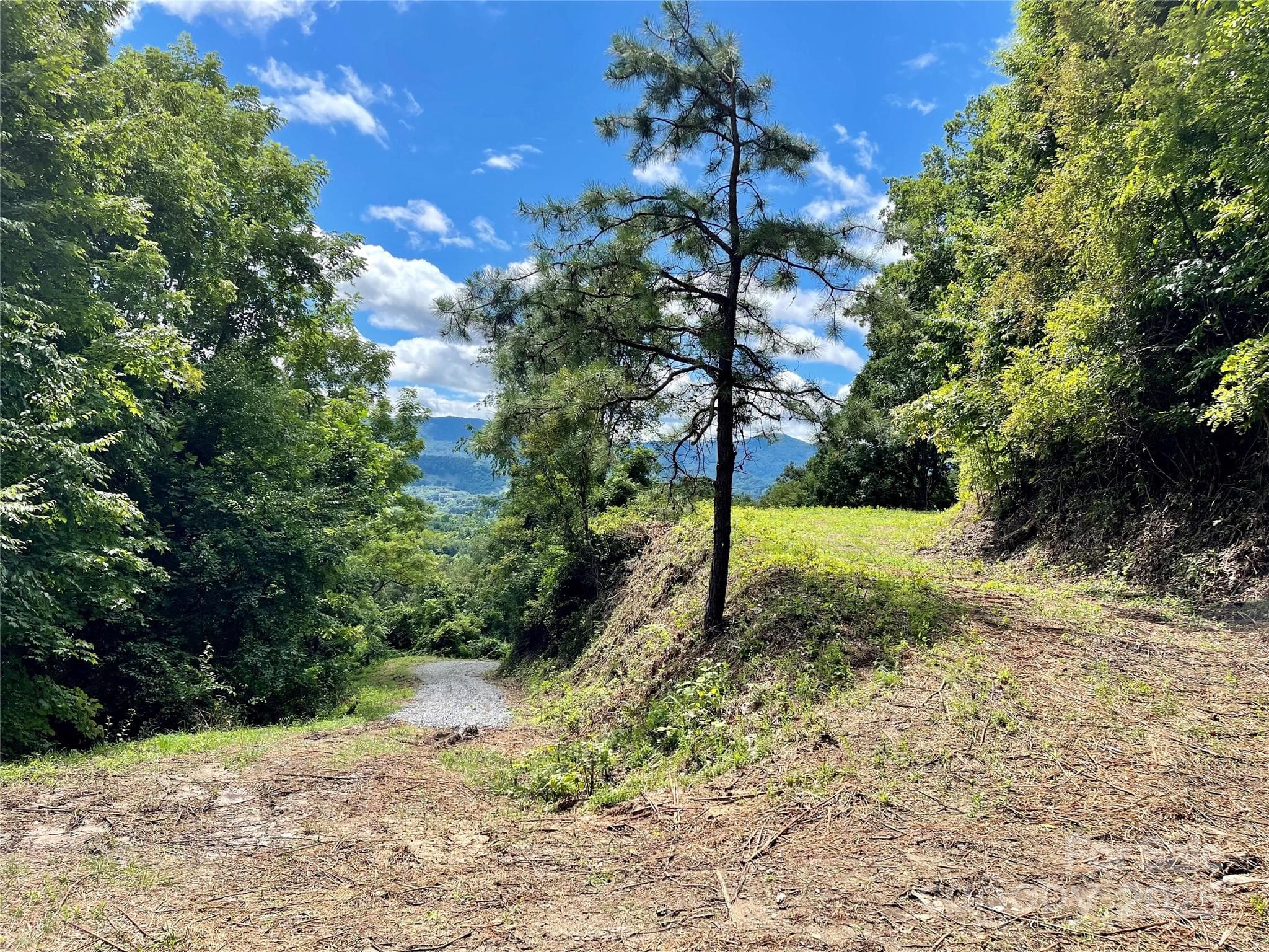 Lot at Waynesville, photo 19 of 22