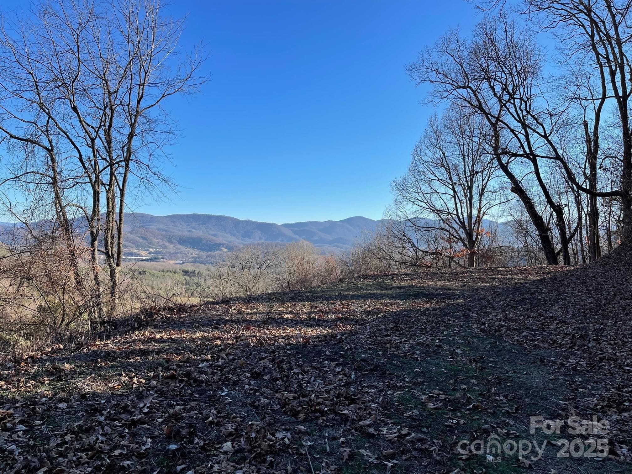 Lot at Waynesville, photo 20 of 22