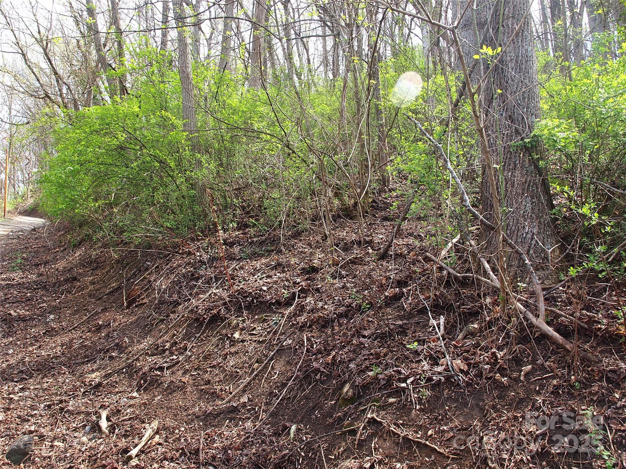 Lot at Canton, photo 14 of 16