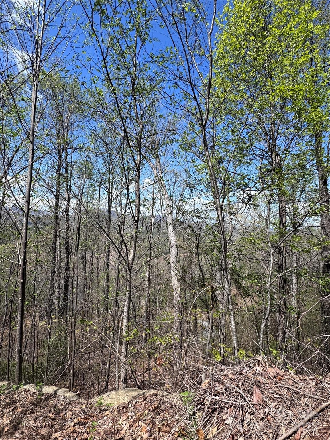 Lot at Lake Lure, photo 2 of 16