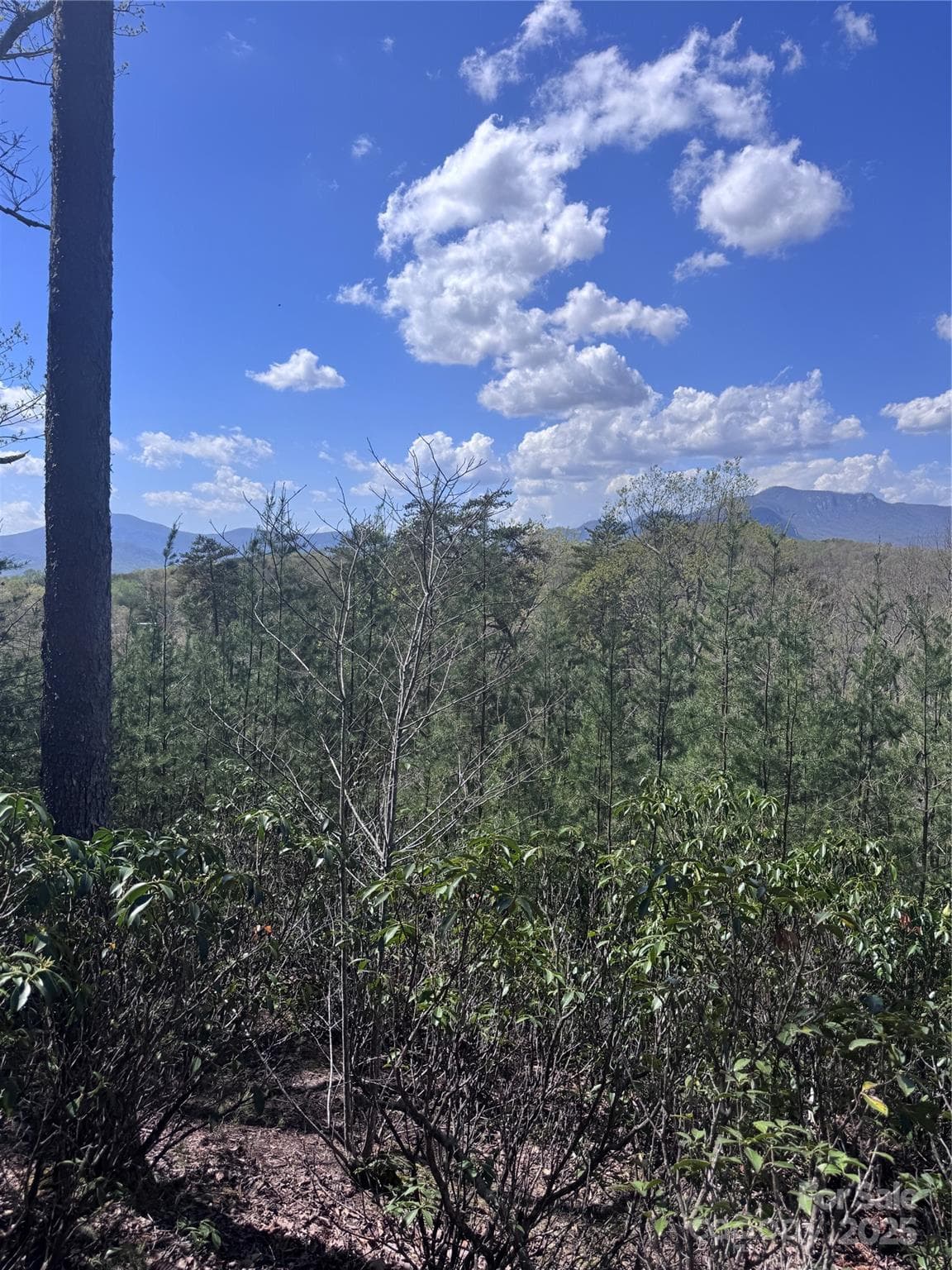 Lot at Lake Lure, photo 3 of 16