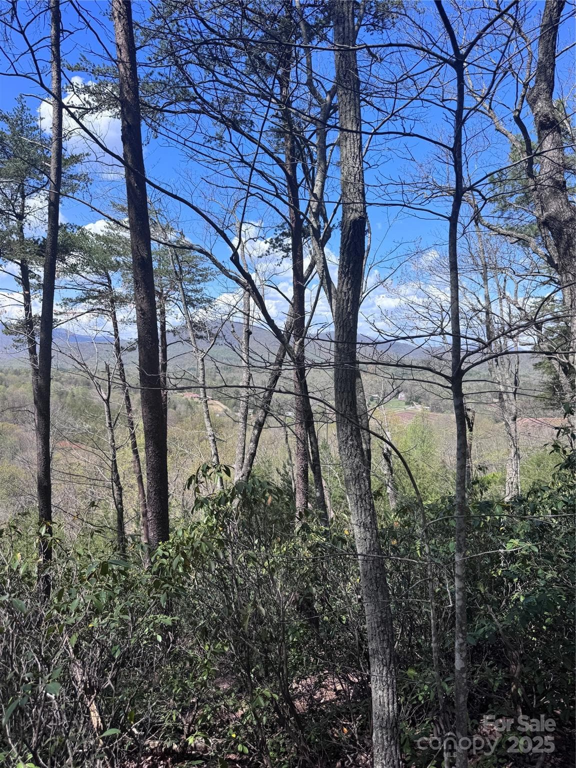 Lot at Lake Lure, photo 4 of 16