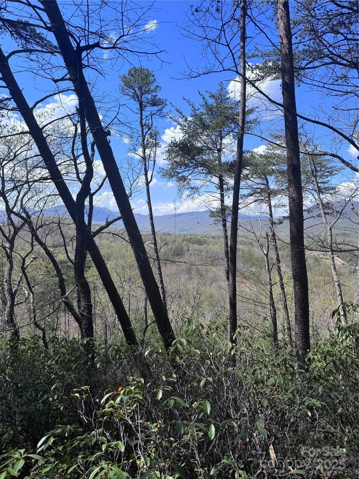 Lot at Lake Lure, photo 5 of 16