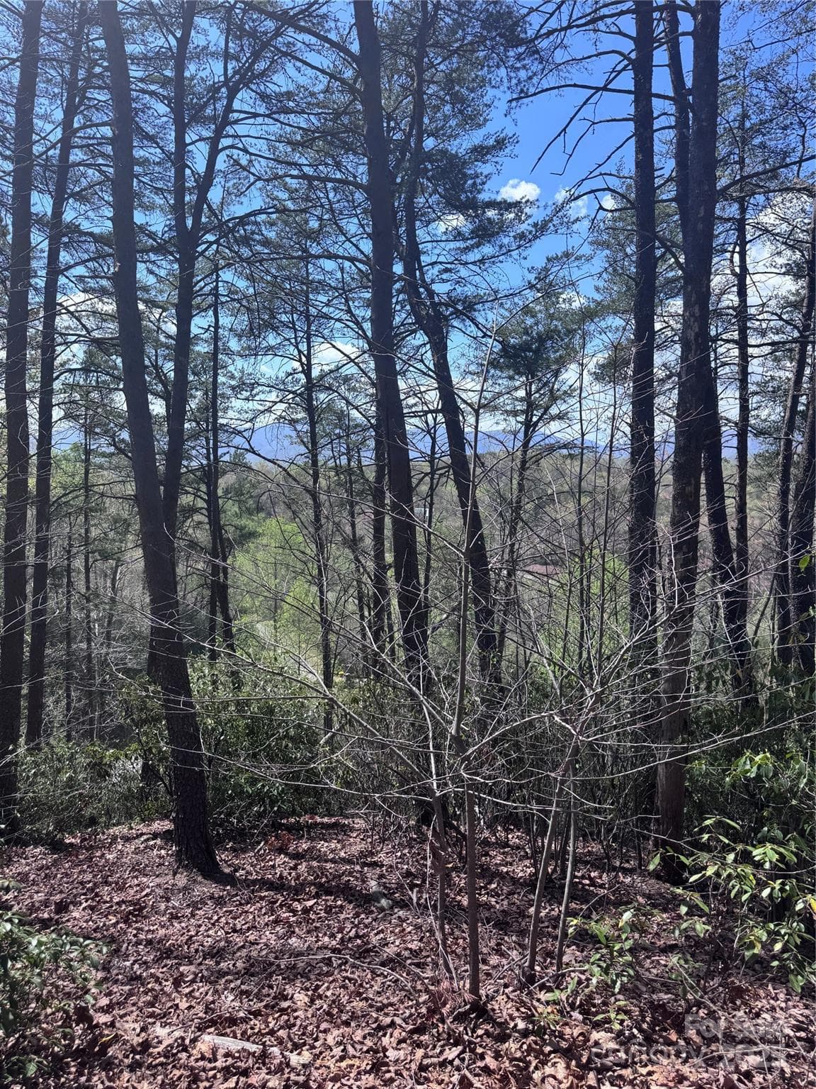 Lot at Lake Lure, photo 6 of 16