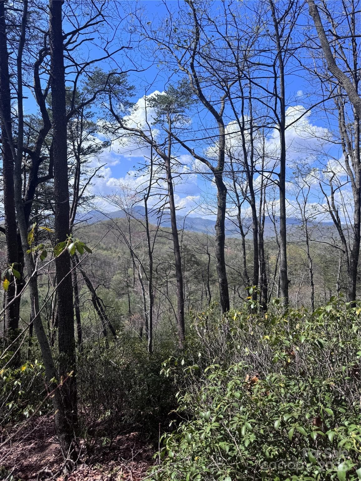 Lot at Lake Lure, photo 7 of 16
