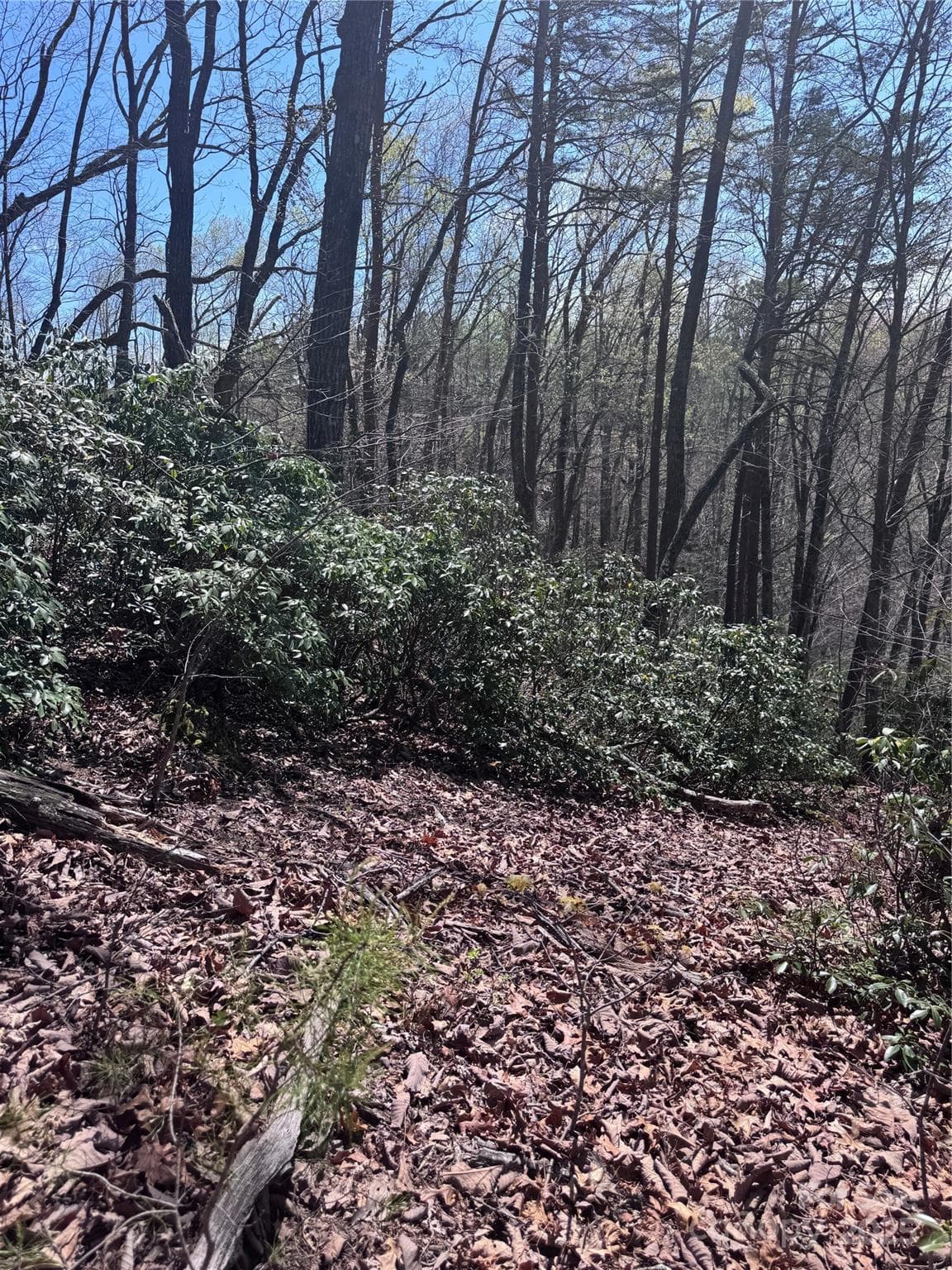 Lot at Lake Lure, photo 8 of 16