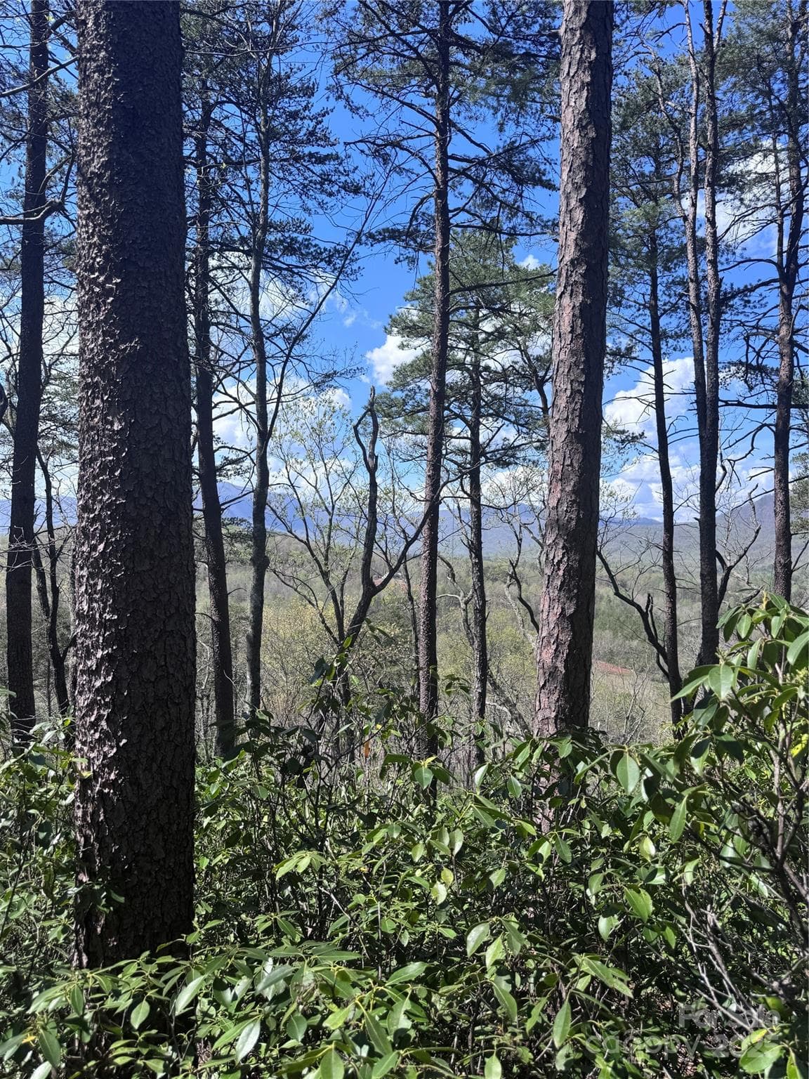 Lot at Lake Lure, photo 9 of 16