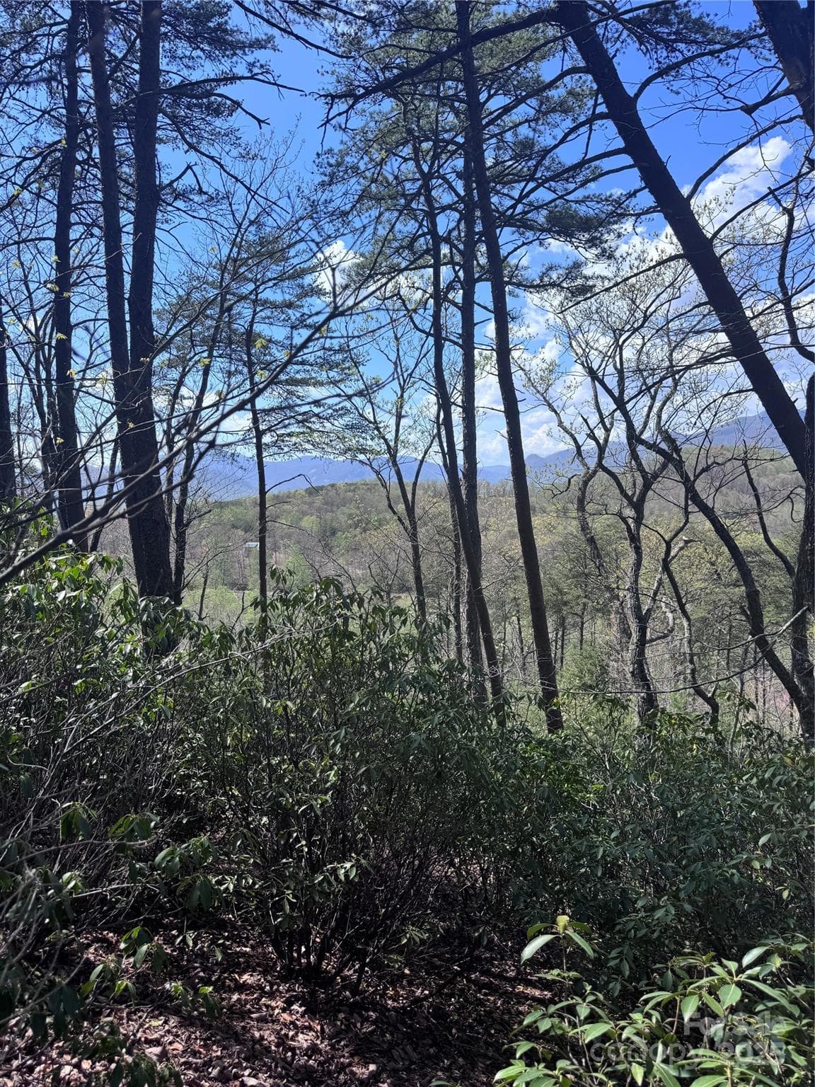 Lot at Lake Lure, photo 10 of 16