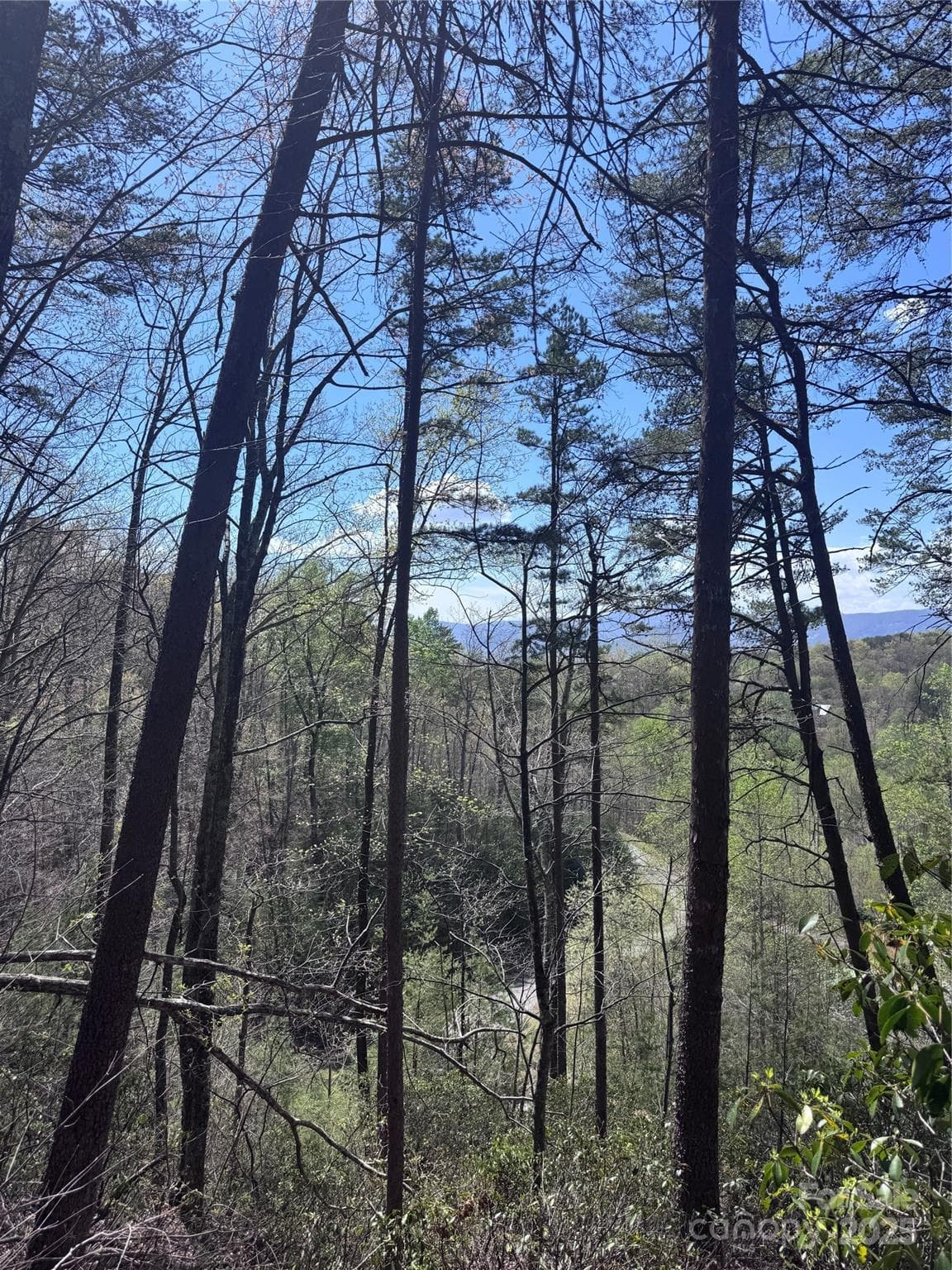Lot at Lake Lure, photo 11 of 16