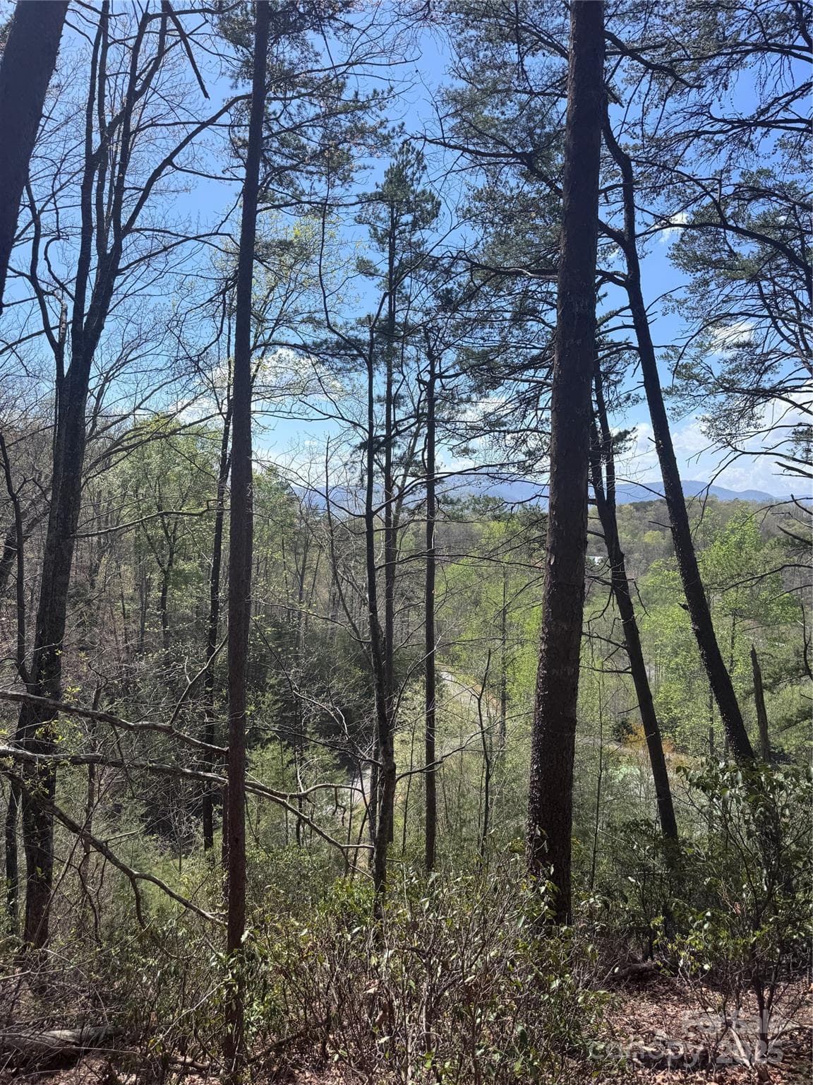 Lot at Lake Lure, photo 12 of 16