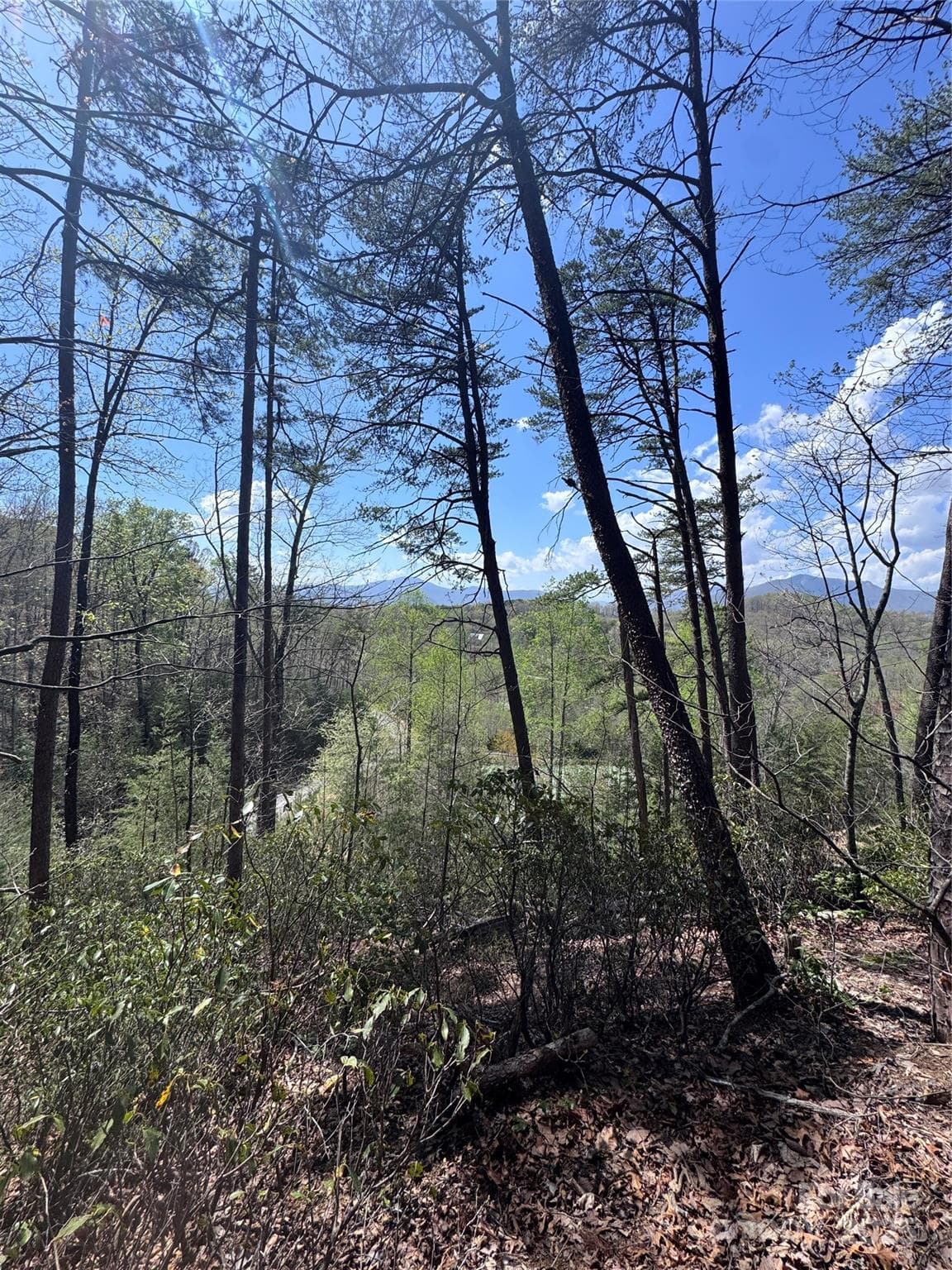 Lot at Lake Lure, photo 13 of 16