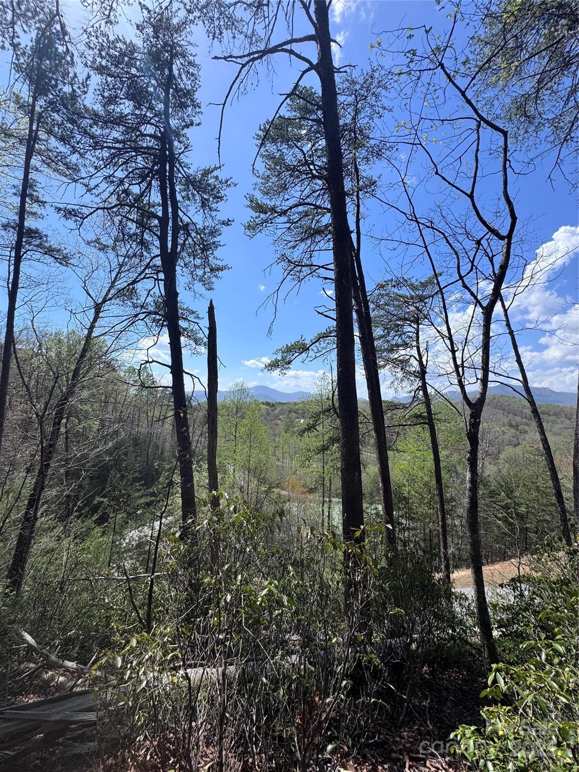 Lot at Lake Lure, photo 14 of 16