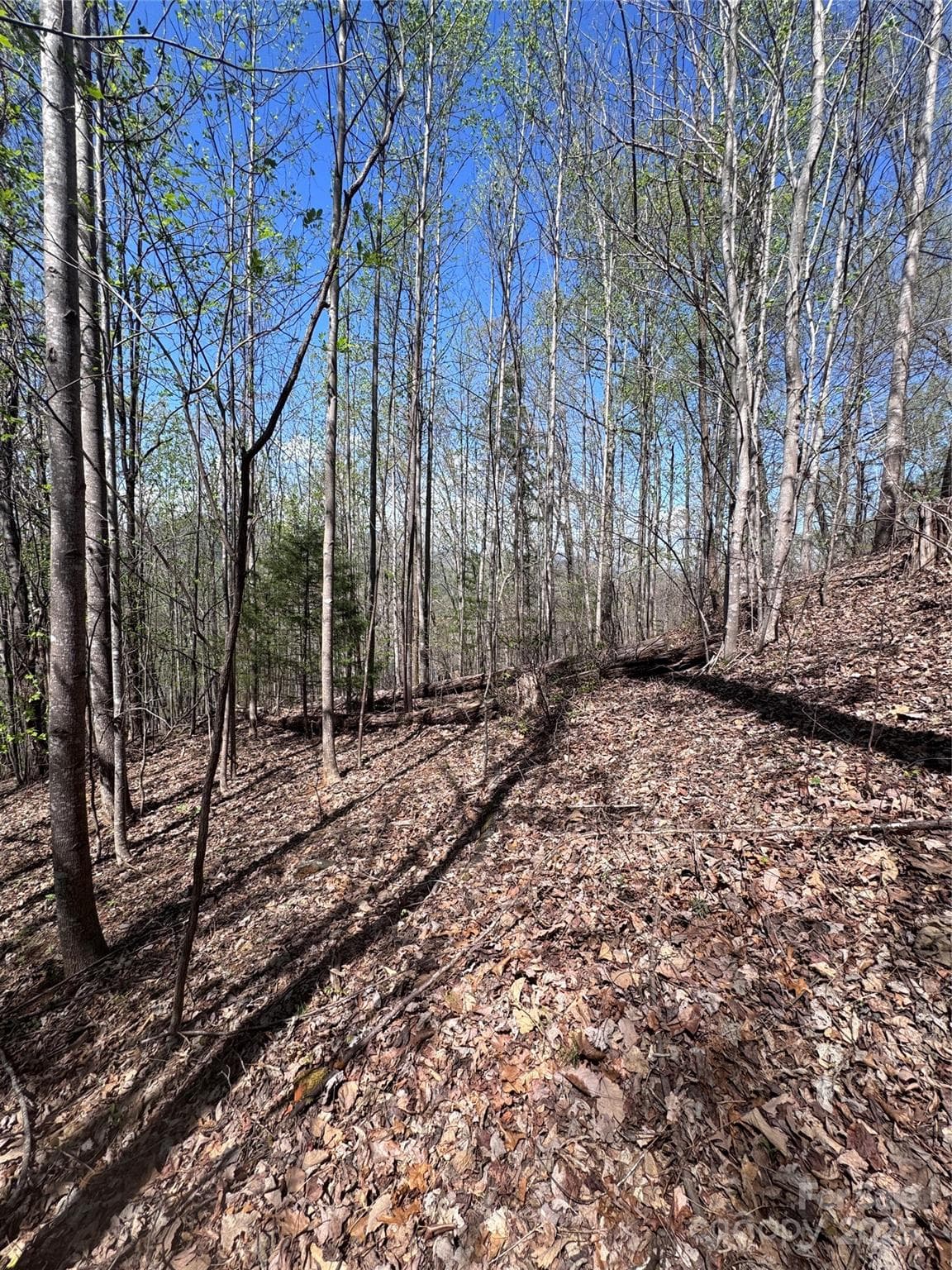 Lot at Lake Lure, photo 2 of 13