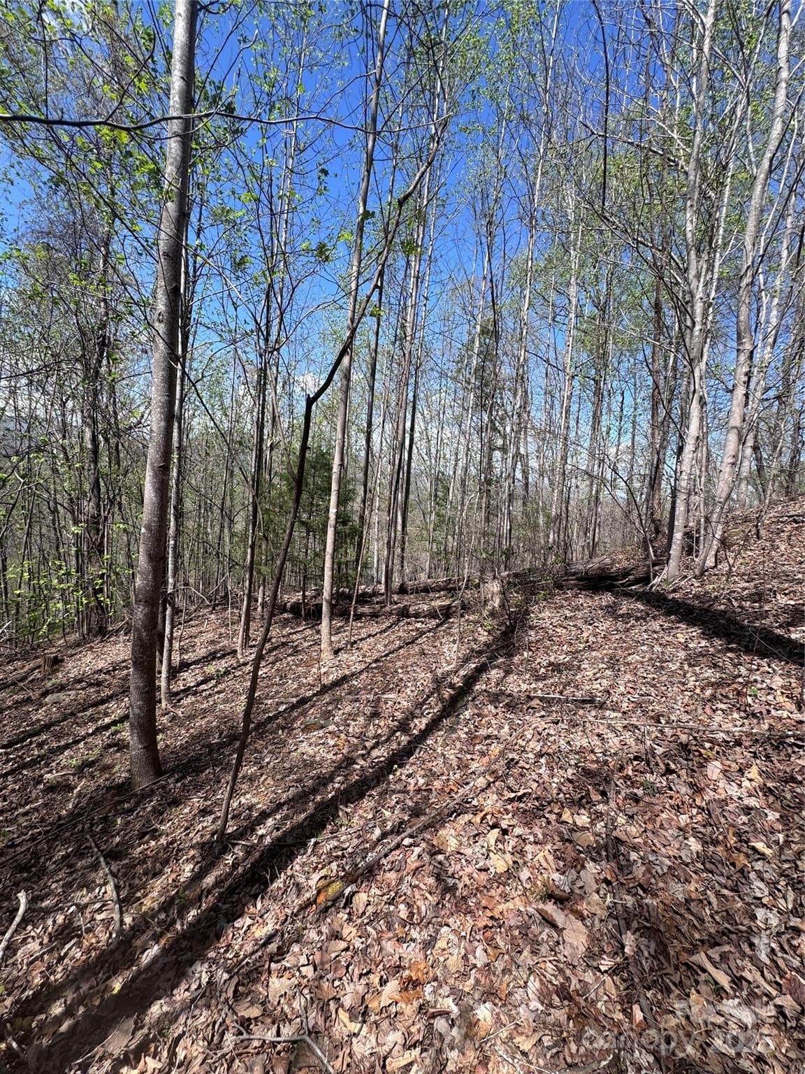 Lot at Lake Lure, photo 3 of 13