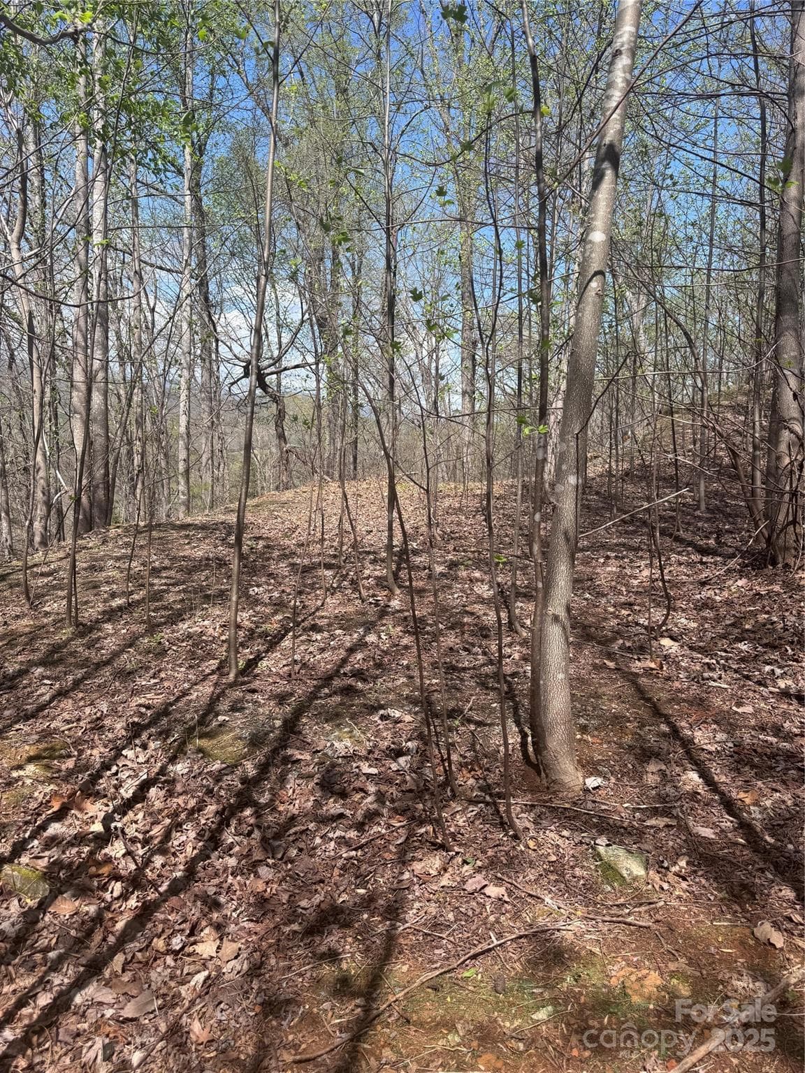 Lot at Lake Lure, photo 4 of 13