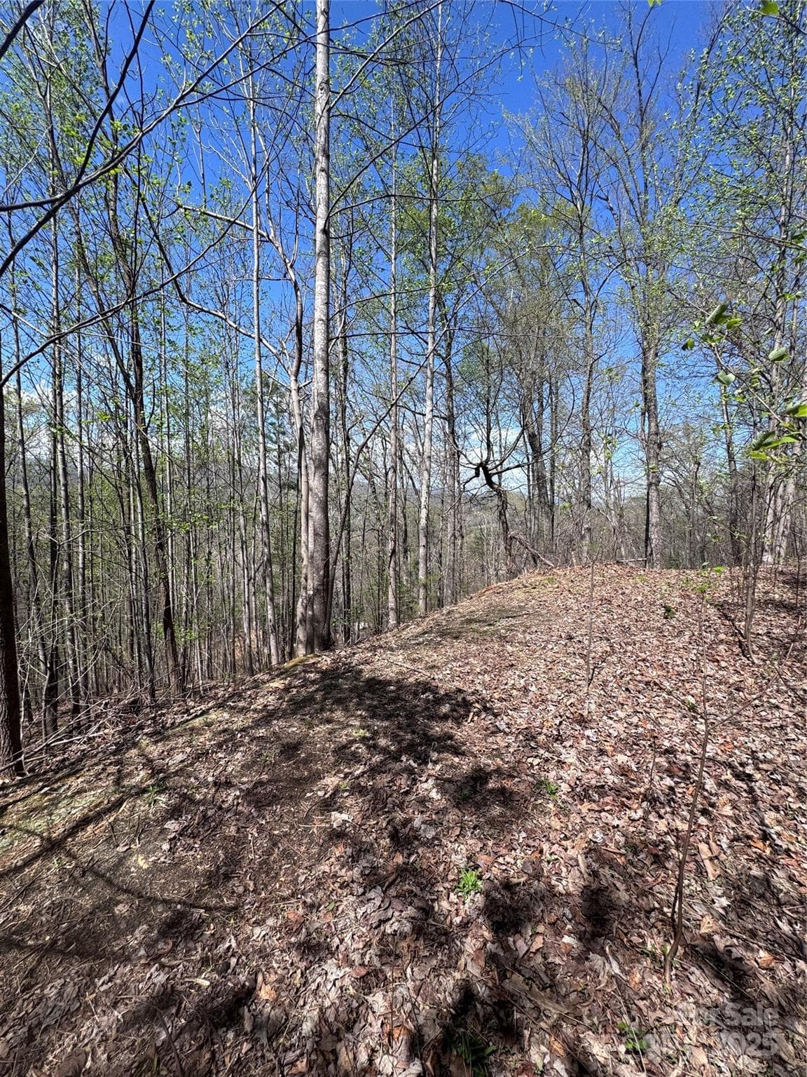 Lot at Lake Lure, photo 5 of 13