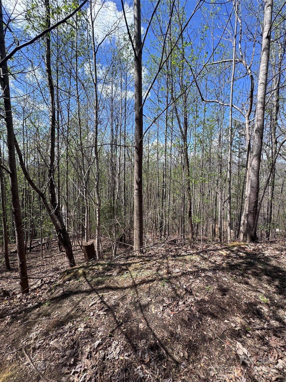 Lot at Lake Lure, photo 6 of 13
