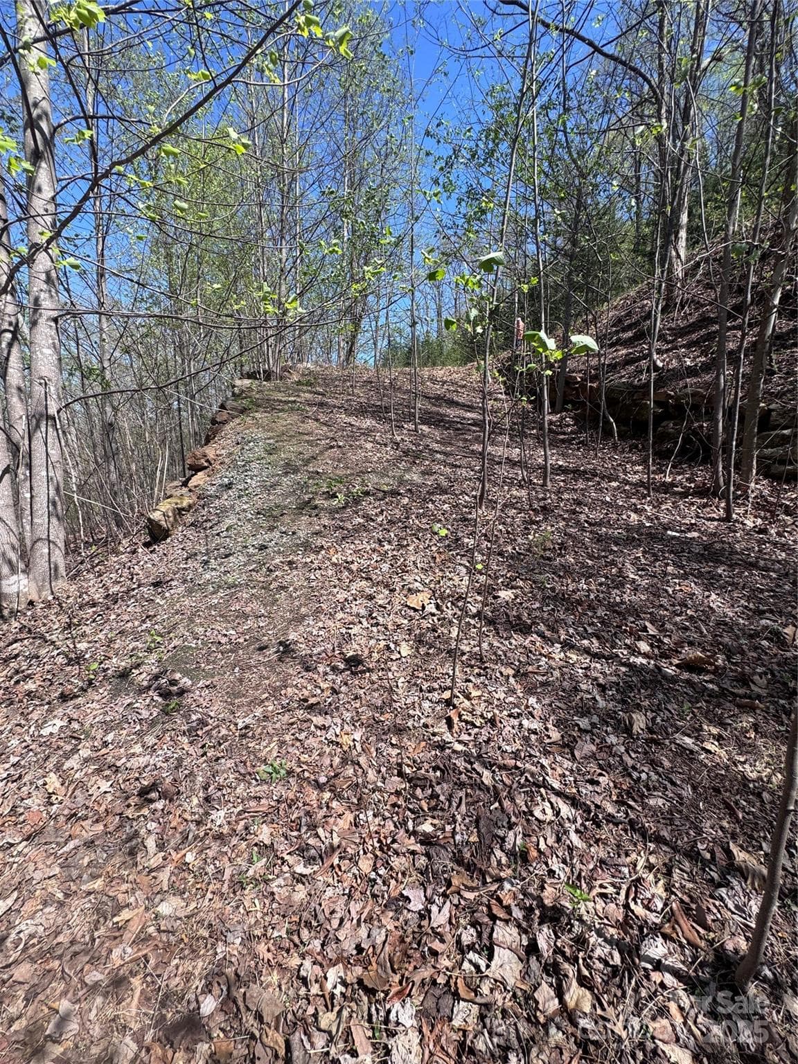 Lot at Lake Lure, photo 7 of 13