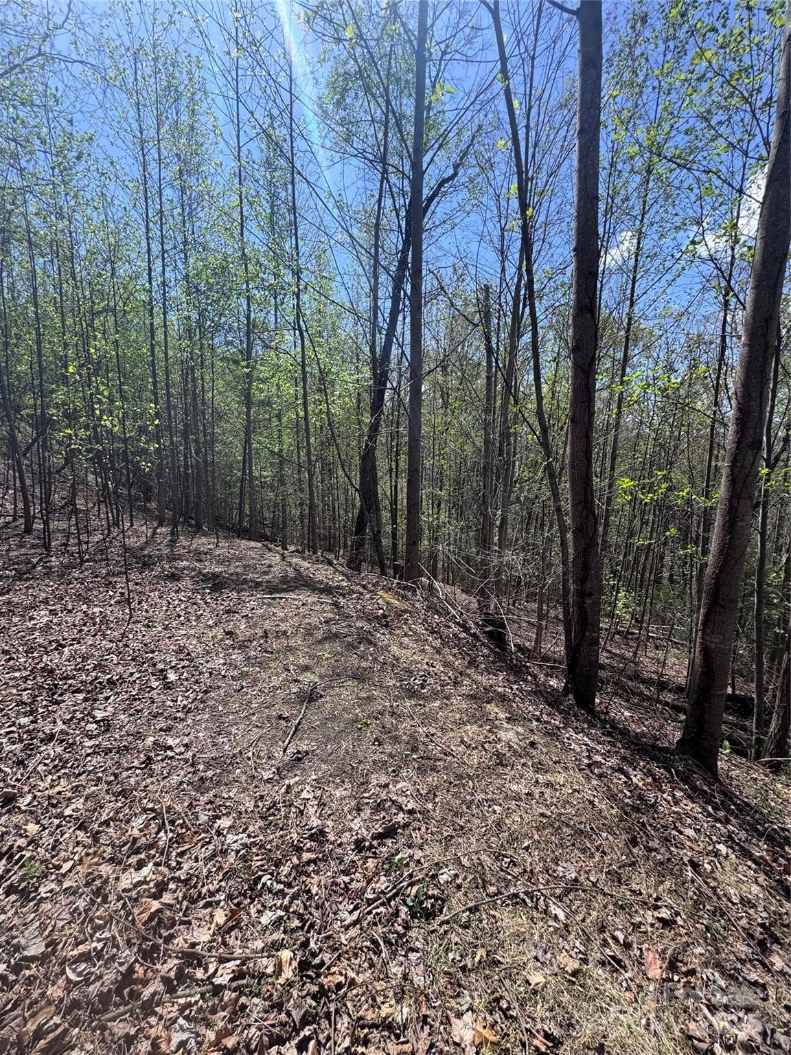 Lot at Lake Lure, photo 8 of 13