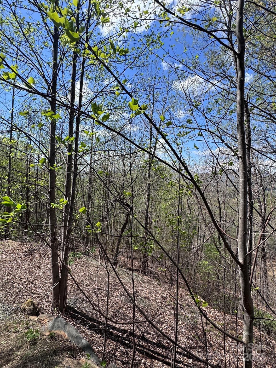 Lot at Lake Lure, photo 11 of 13