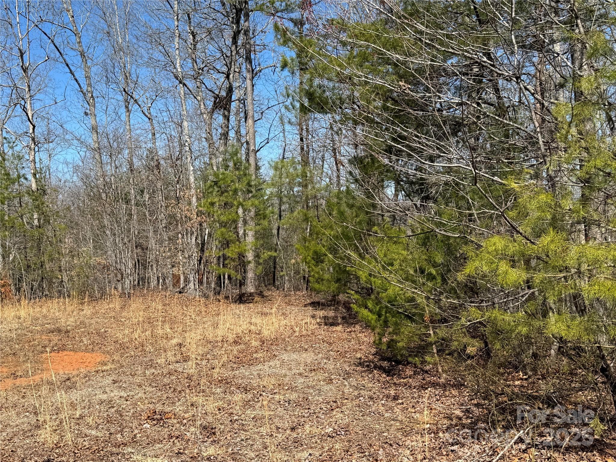 Lot at 00 Shady Bark Lane, Rutherfordton, photo 5 of 10