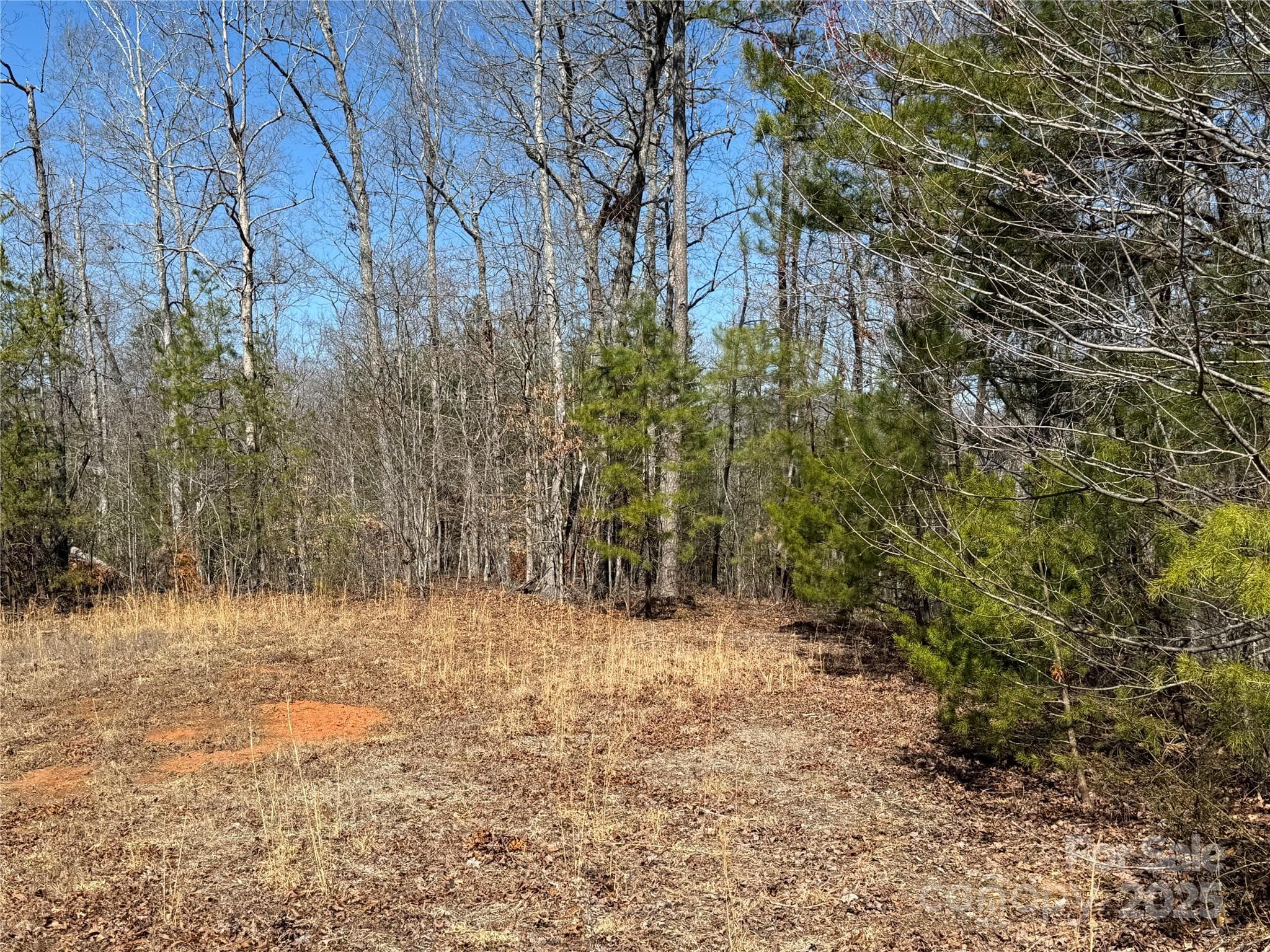 Lot at 00 Shady Bark Lane, Rutherfordton, photo 9 of 10