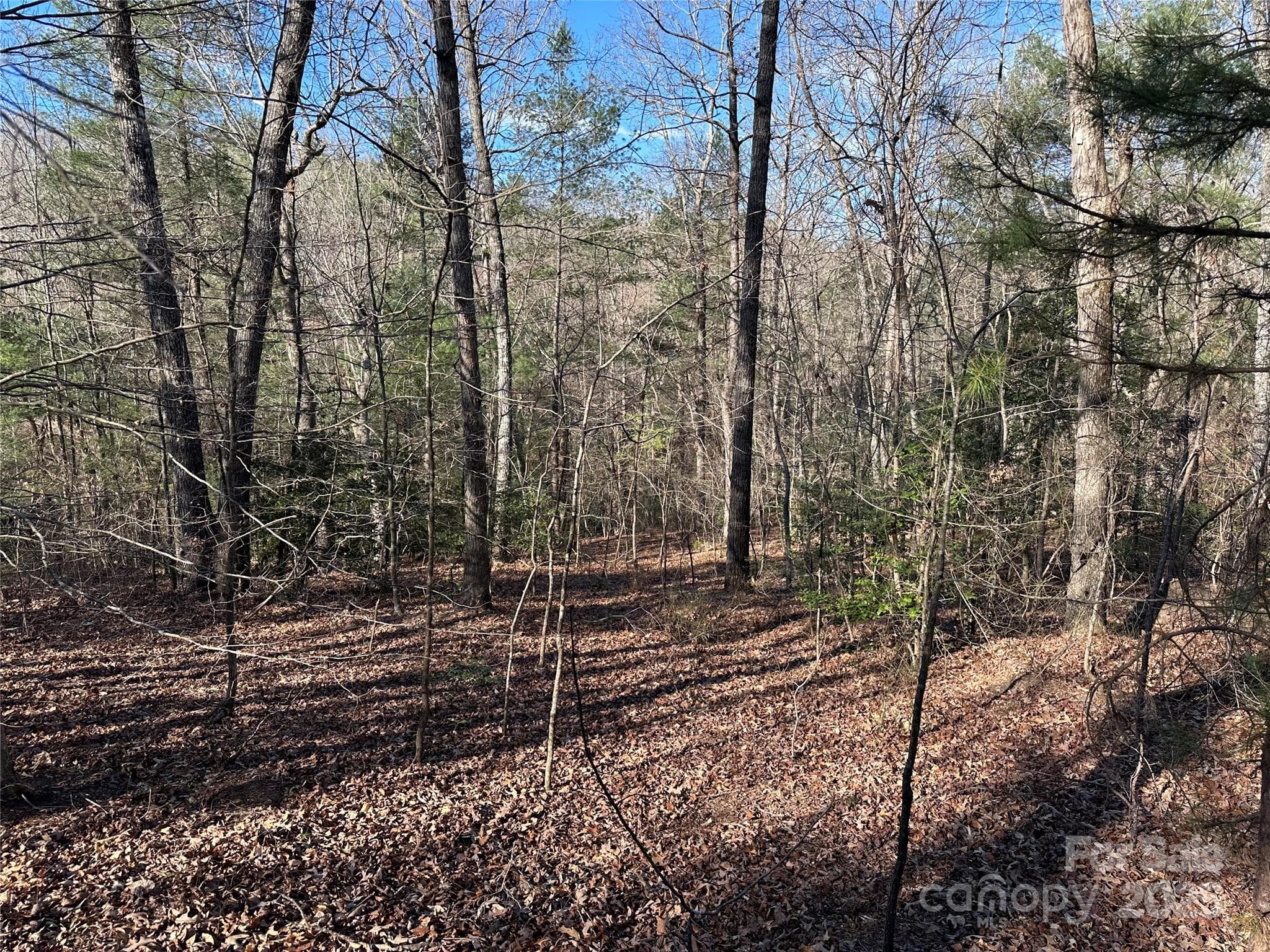 Lot at 00 Goose Creek Drive, Taylorsville, photo 4 of 21