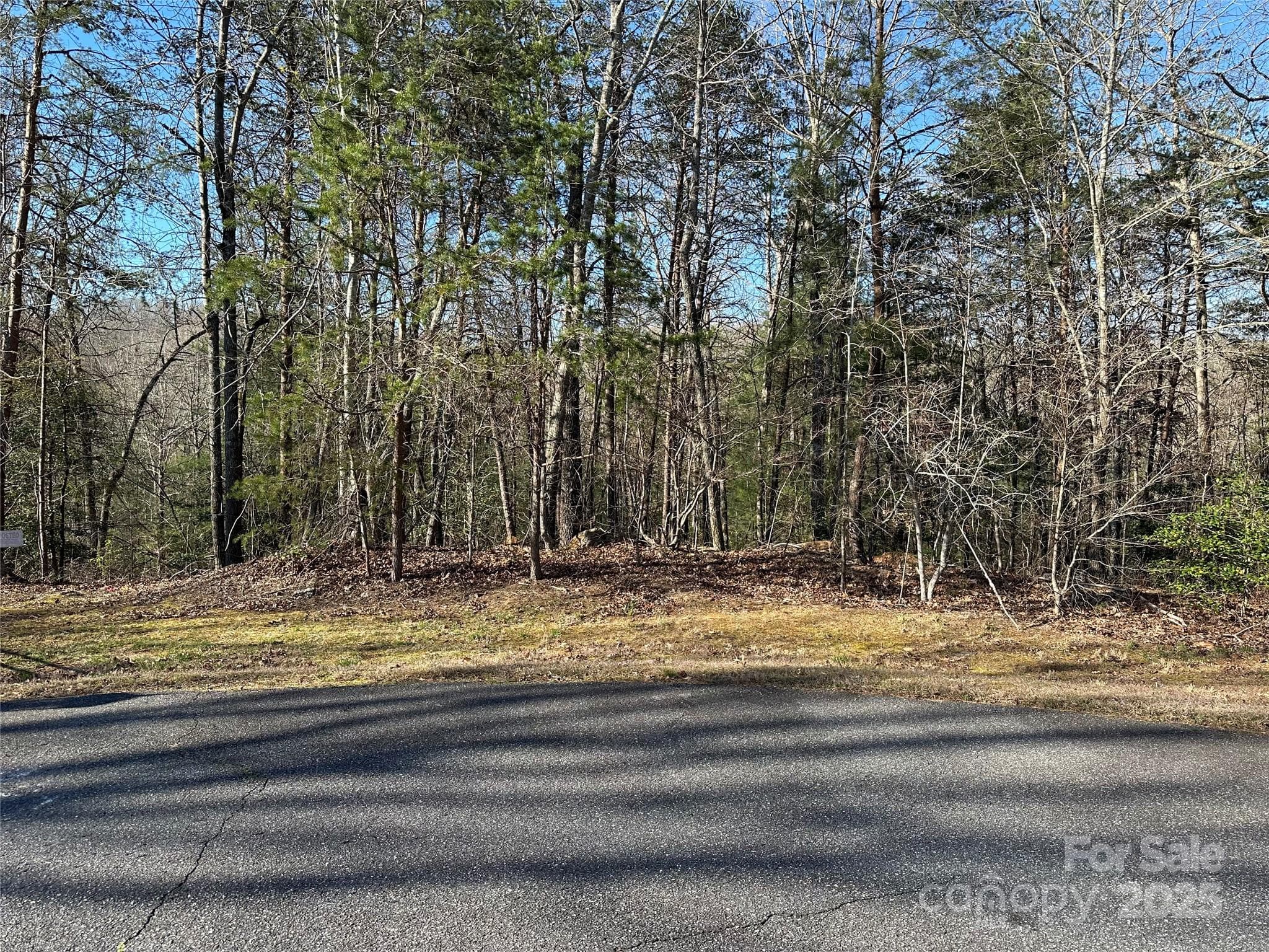 Lot at 00 Goose Creek Drive, Taylorsville, photo 6 of 21