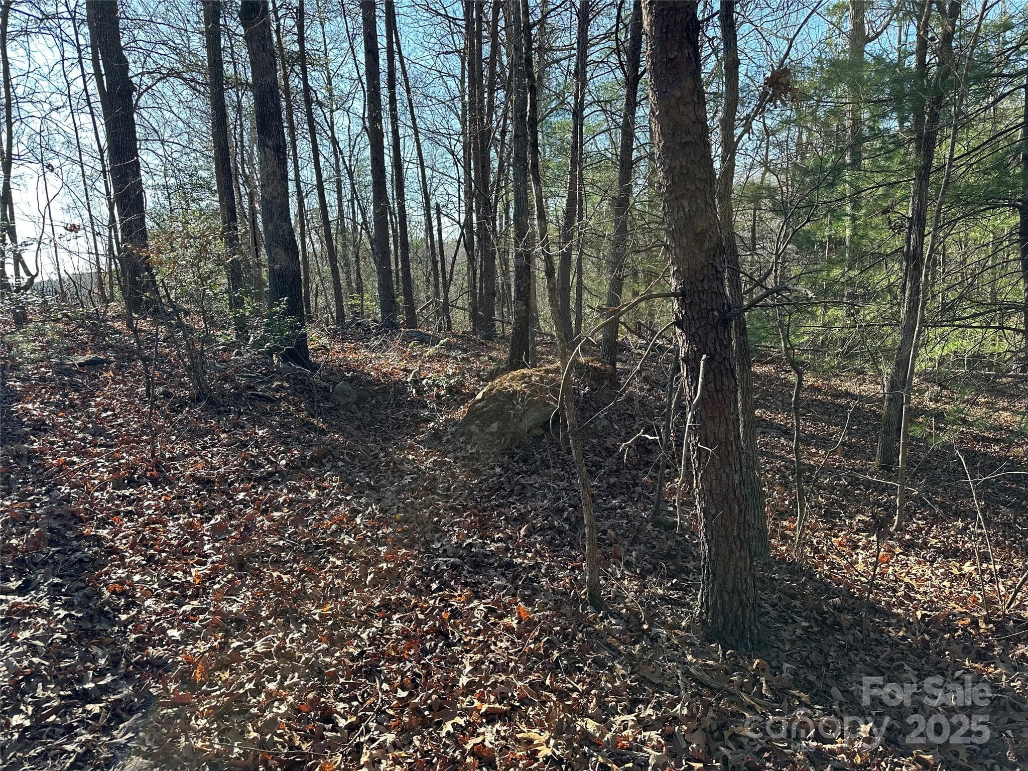 Lot at 00 Goose Creek Drive, Taylorsville, photo 7 of 21