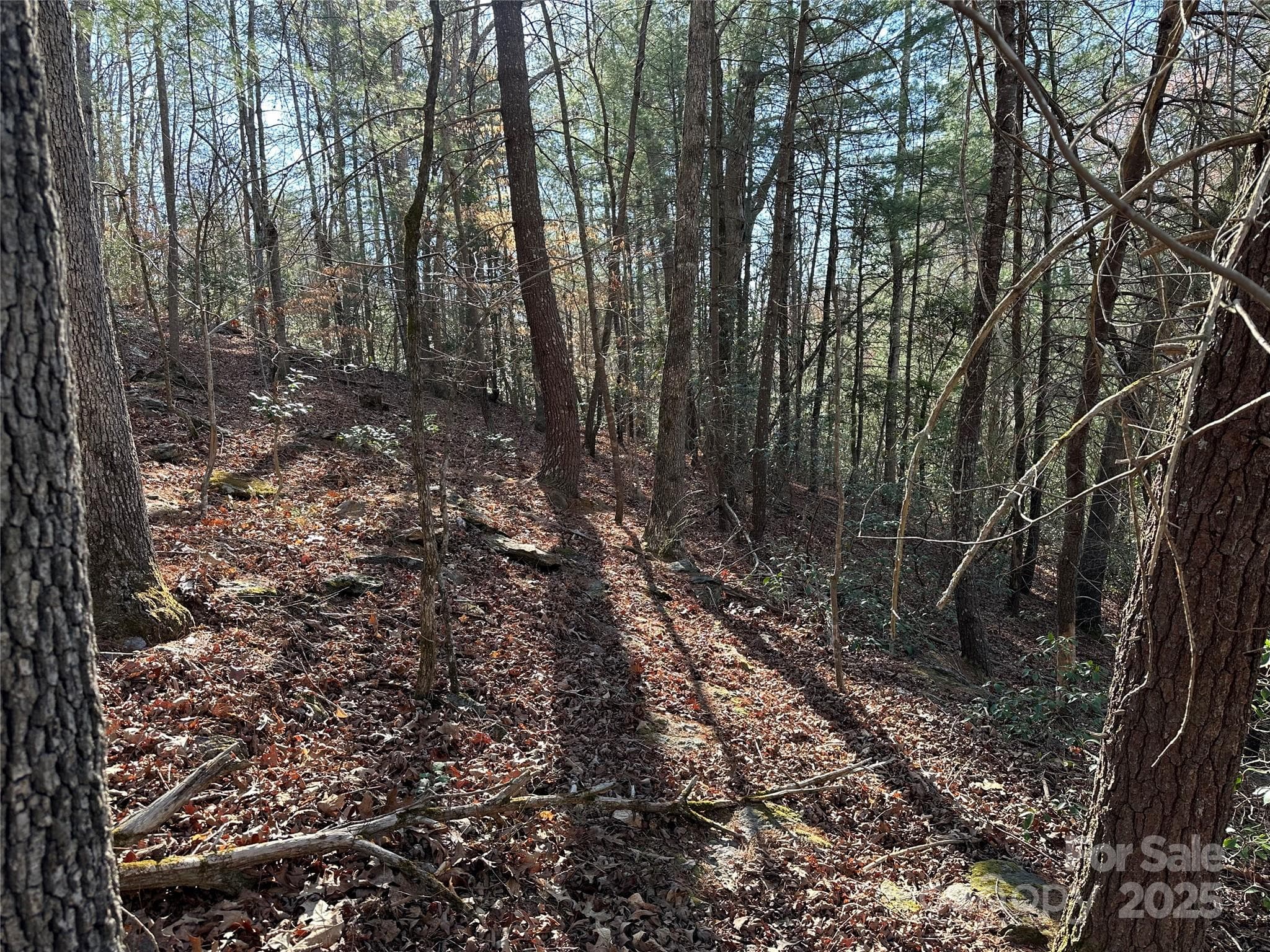 Lot at 00 Goose Creek Drive, Taylorsville, photo 10 of 21