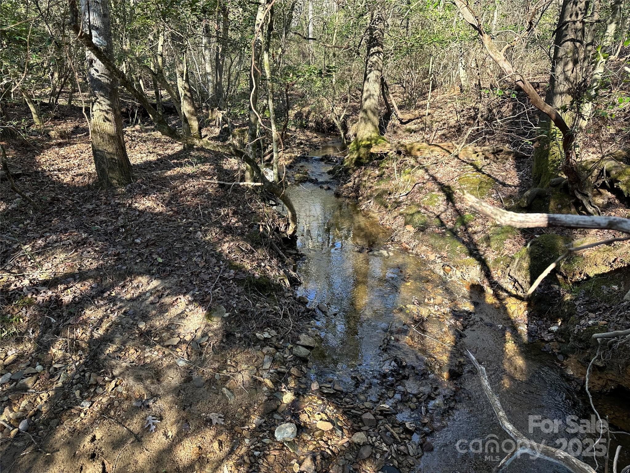 Lot at 00 Goose Creek Drive, Taylorsville, photo 13 of 21