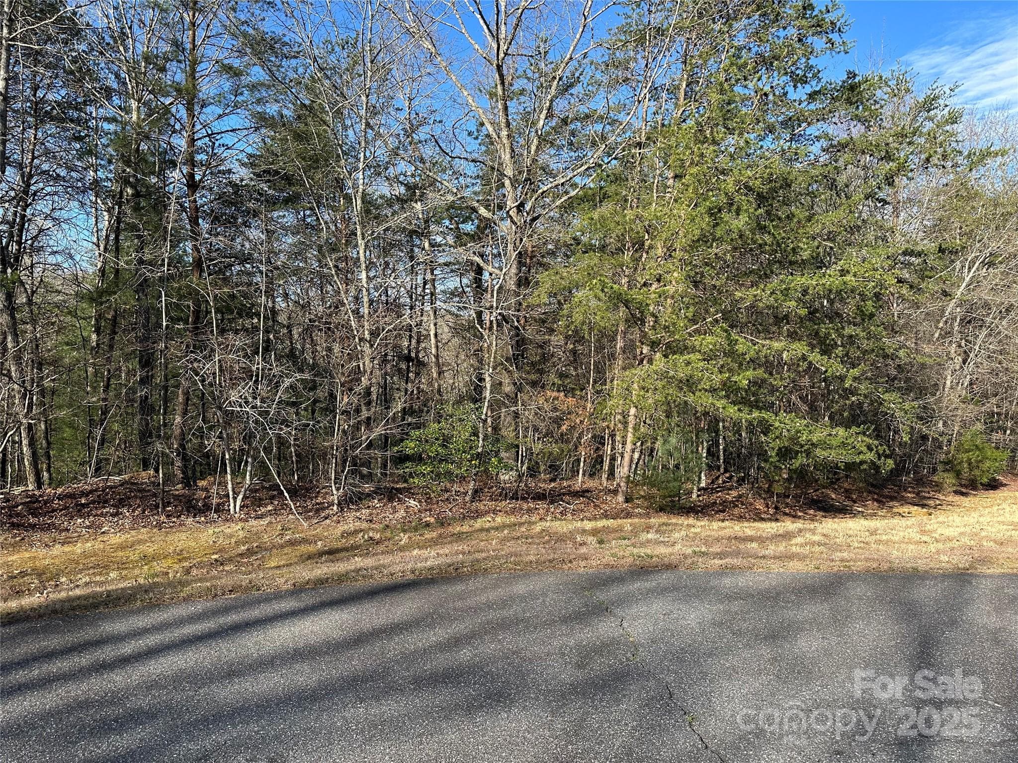 Lot at 00 Goose Creek Drive, Taylorsville, photo 14 of 21