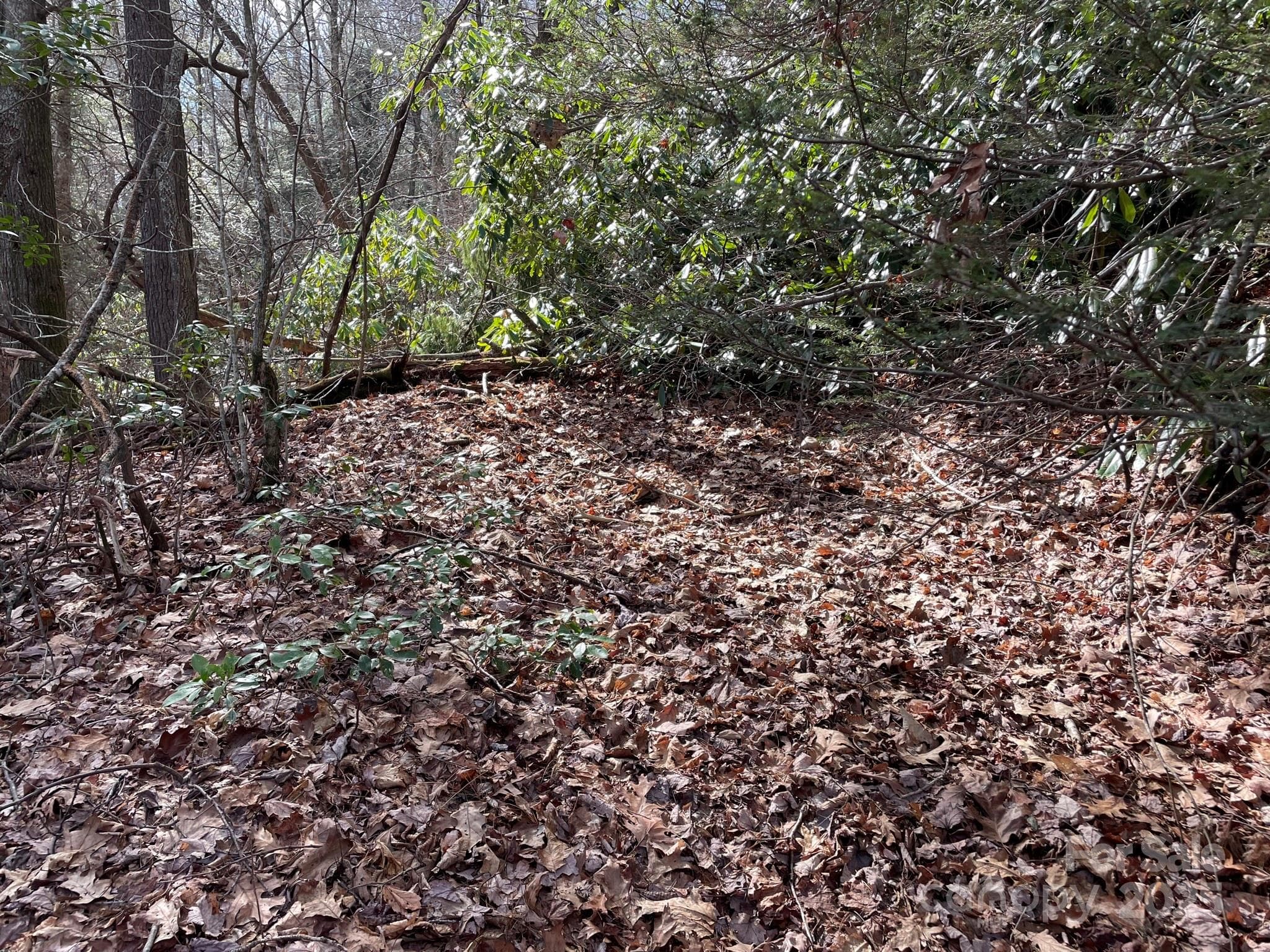 Lot at 0 Gingercake Road, Newland, photo 7 of 14
