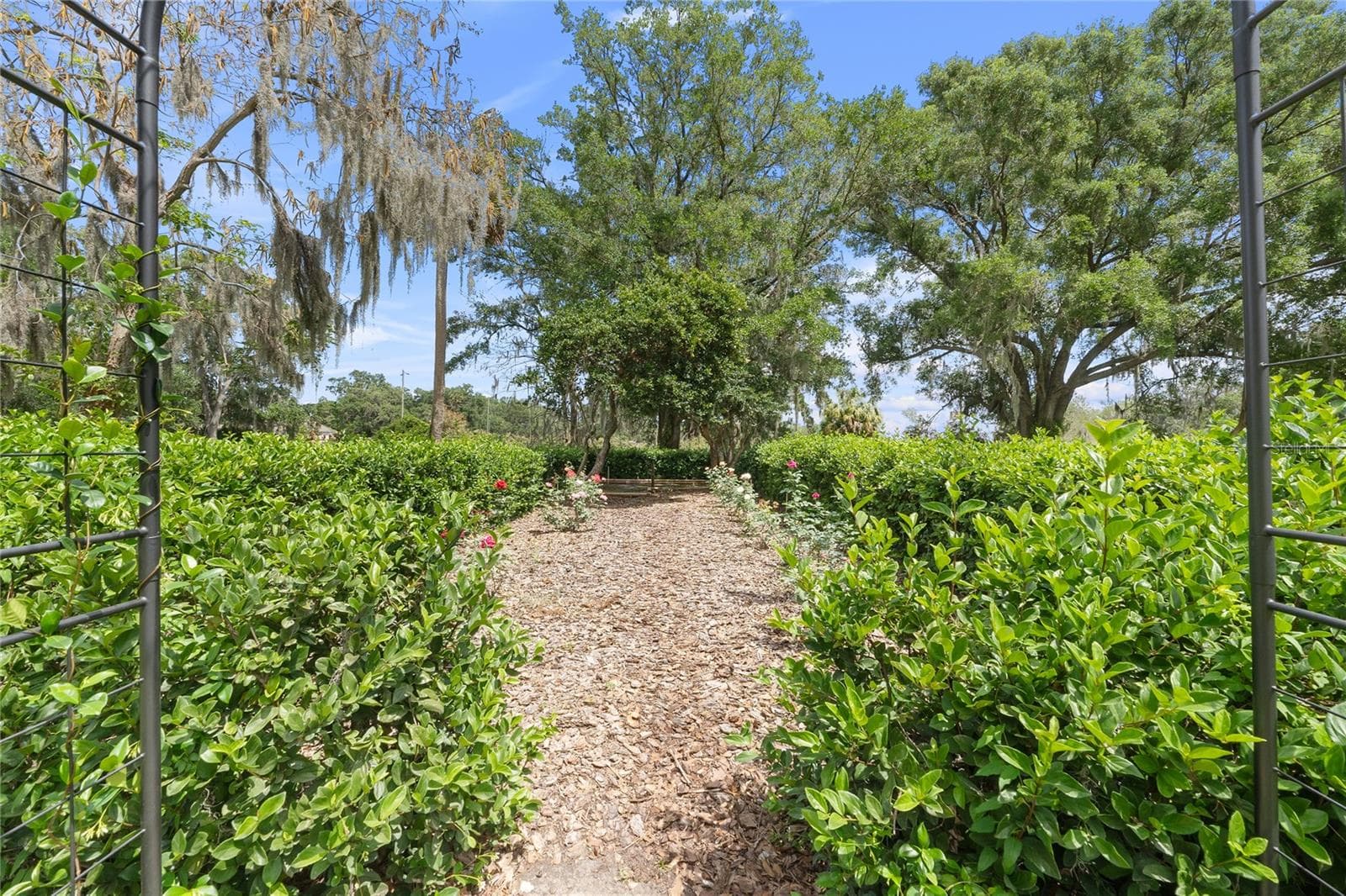 Single Family Residence at 1760 OLD BARTOW EAGLE LAKE RD, BARTOW, photo 68 of 84