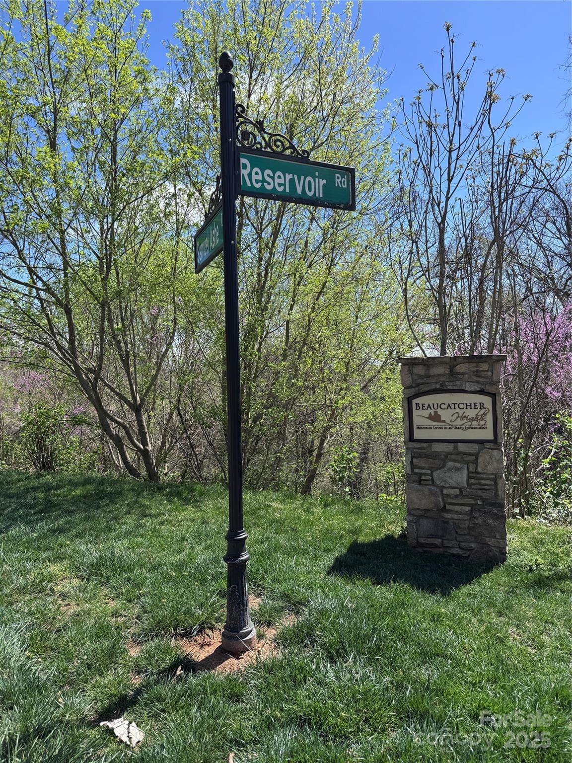 Lot at Asheville, photo 6 of 24