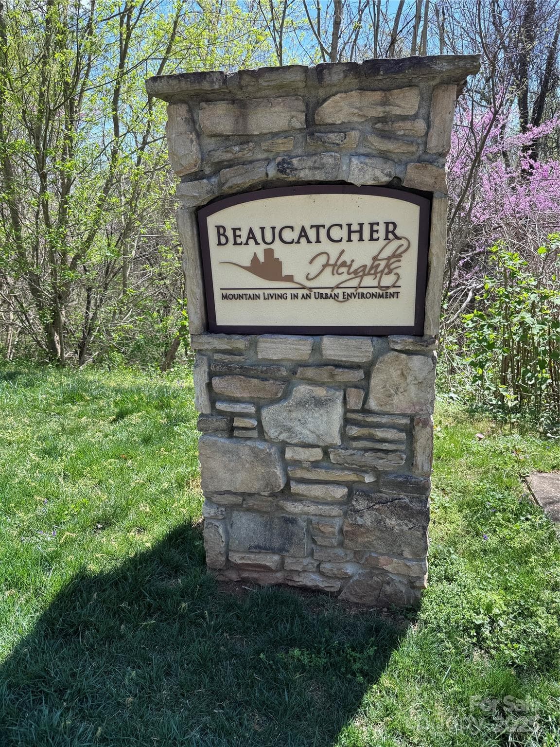 Lot at Asheville, photo 7 of 24