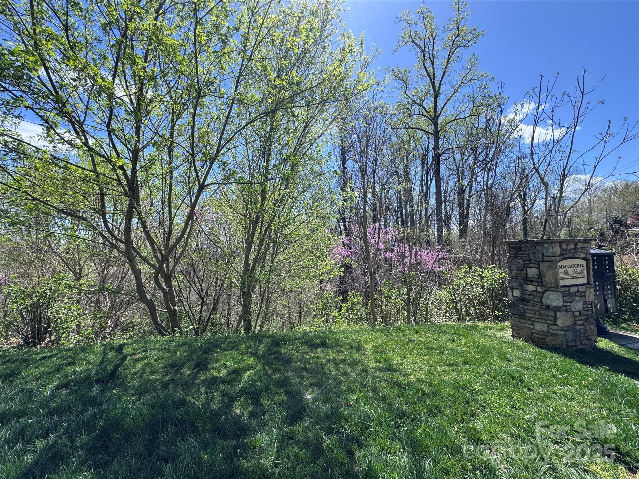 Lot at Asheville, photo 4 of 24