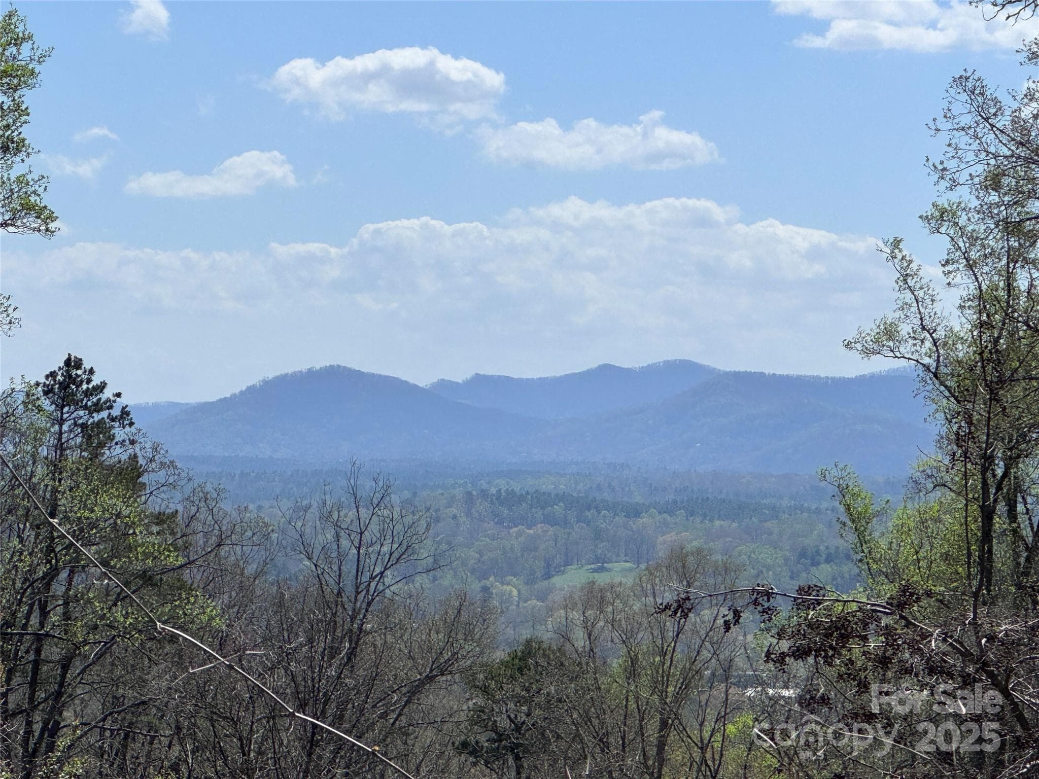 Lot at Asheville, photo 3 of 24