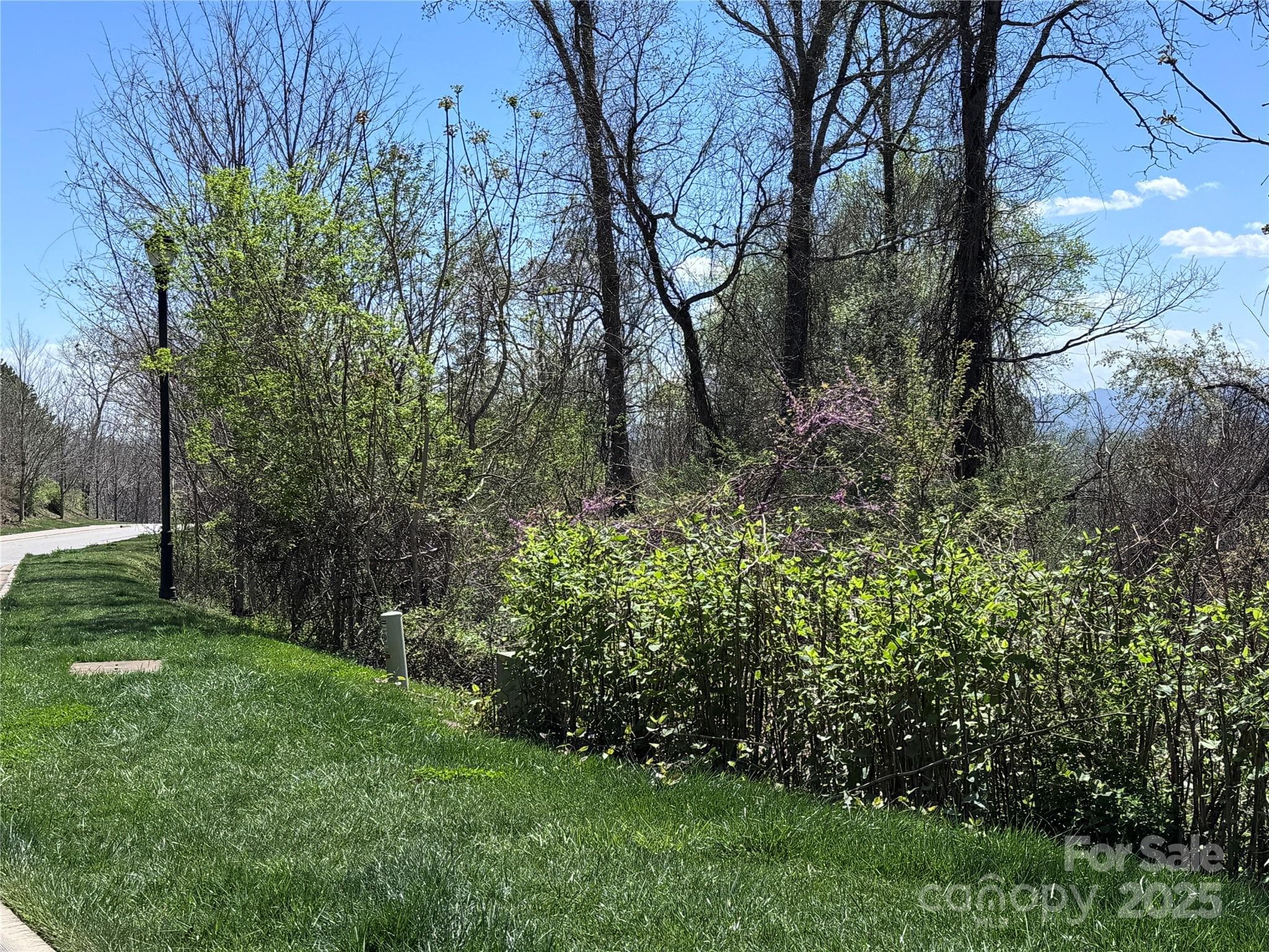 Lot at Asheville, photo 2 of 24
