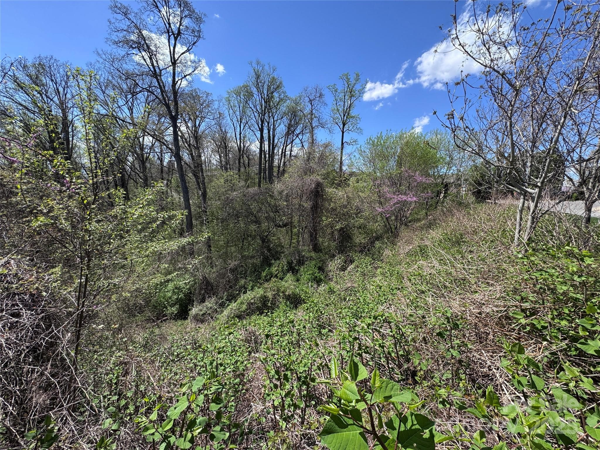 Lot at Asheville, photo 5 of 24